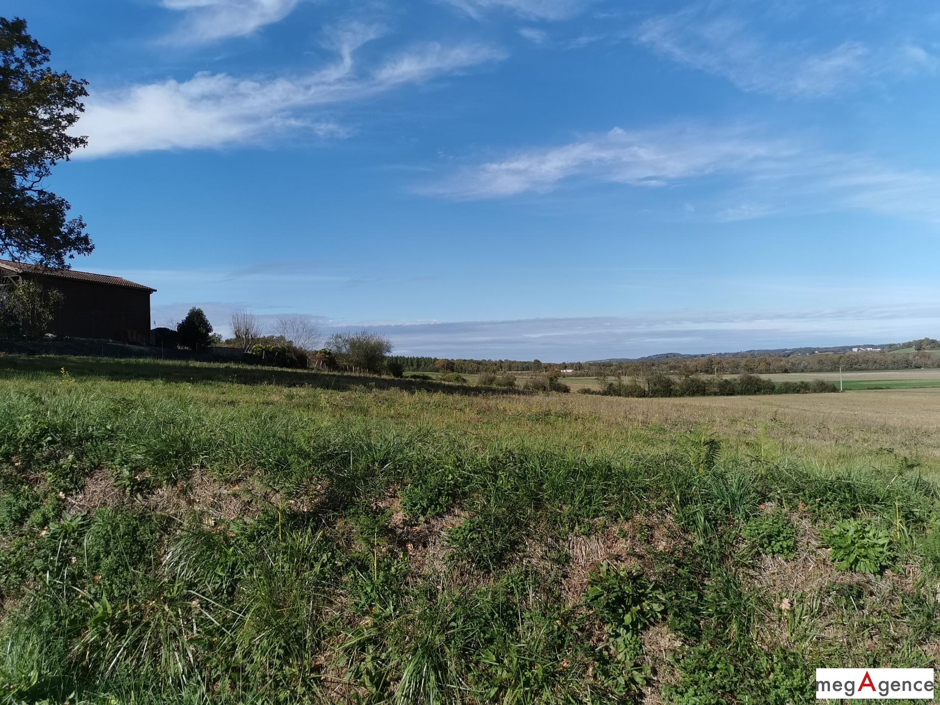 Miniature photo - 7 / 11