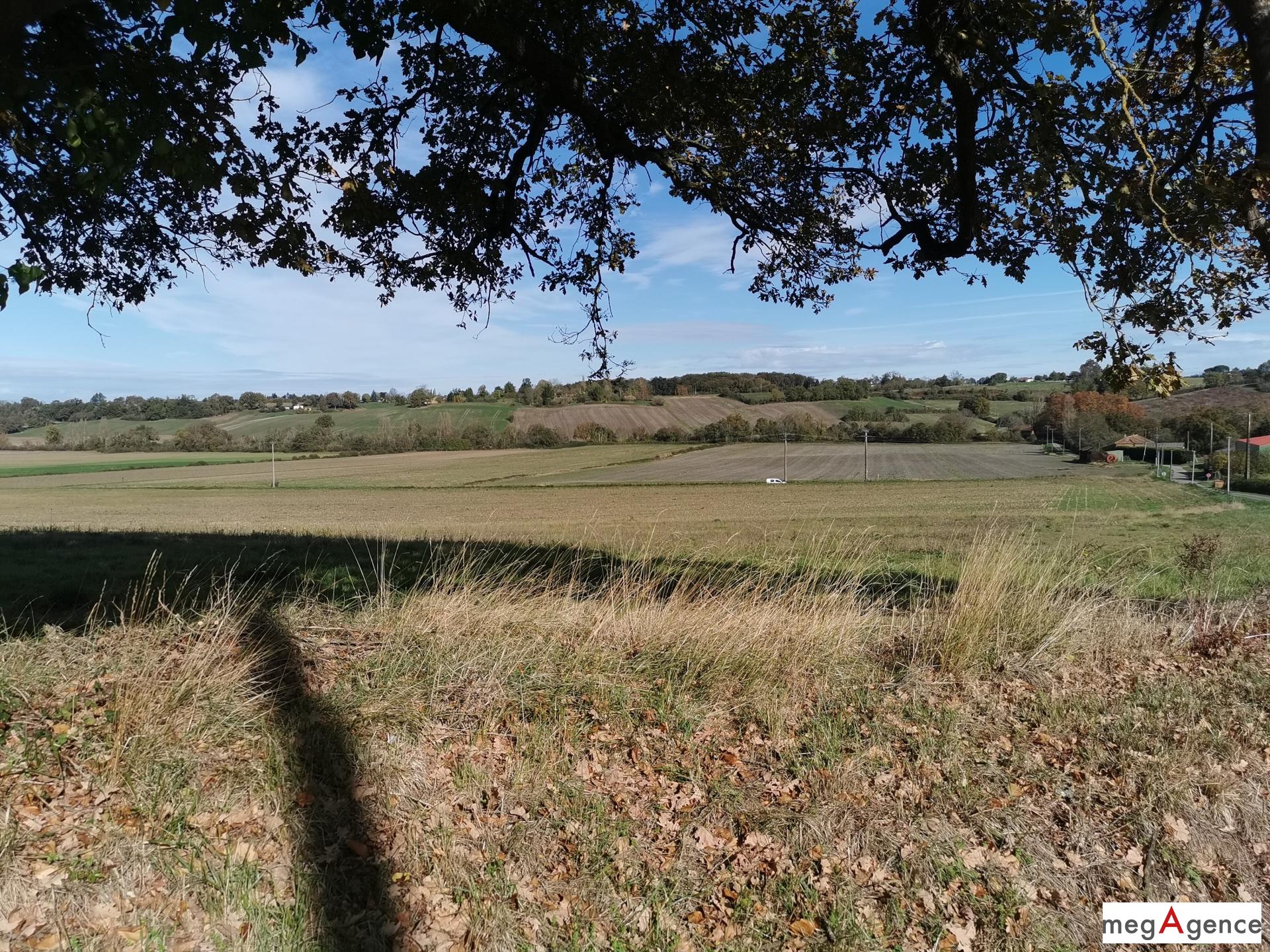 Miniature photo - 3 / 11