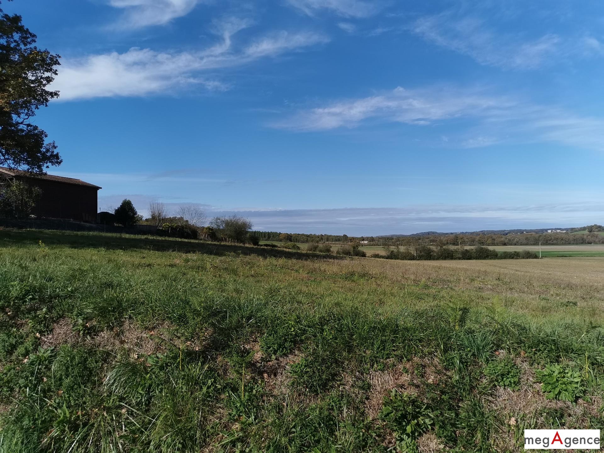 Miniature photo - 9 / 11