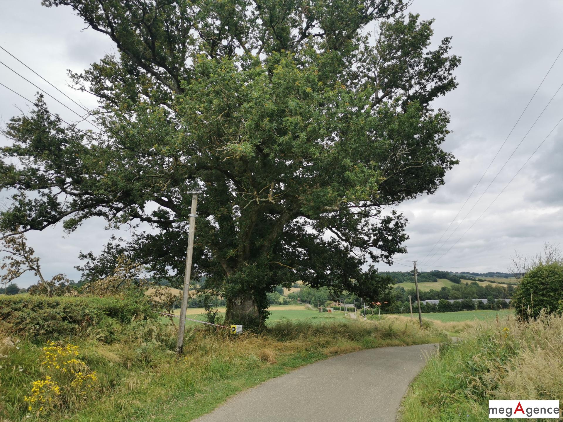 Miniature photo - 2 / 11