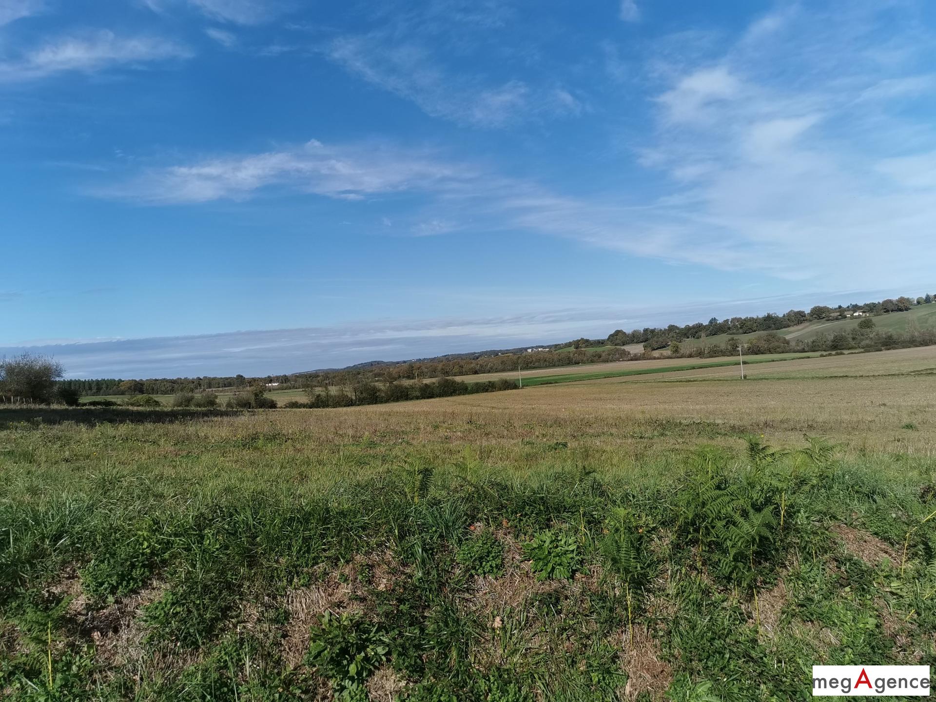 Miniature photo - 10 / 11