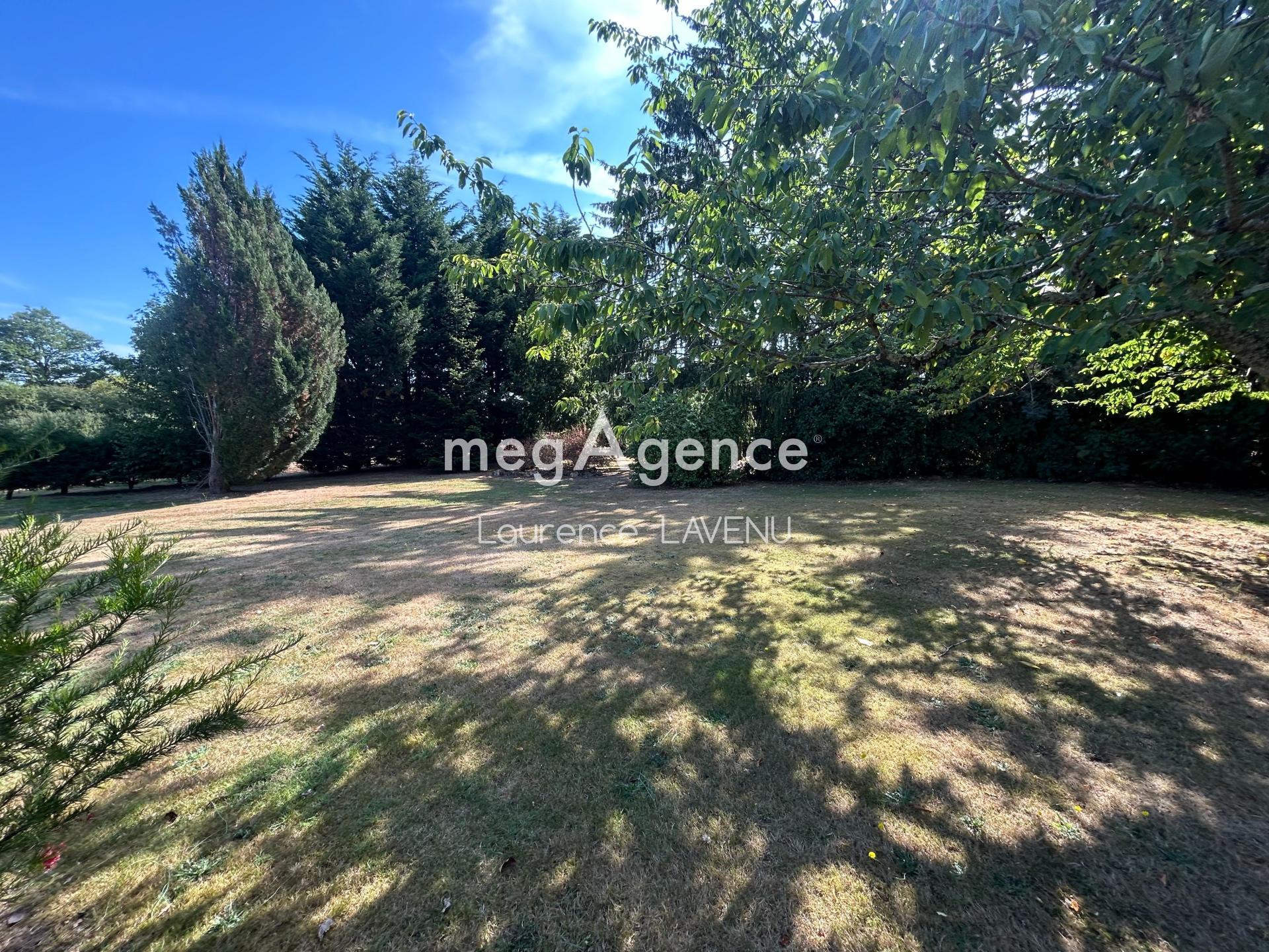 Miniature photo - 2 / 7