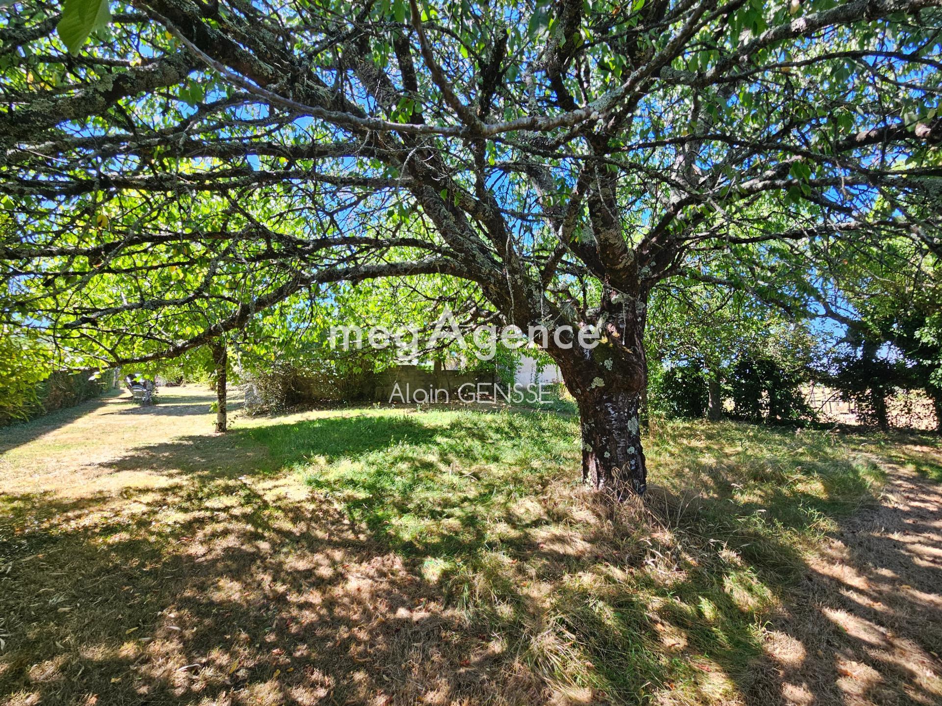 Miniature photo - 15 / 16
