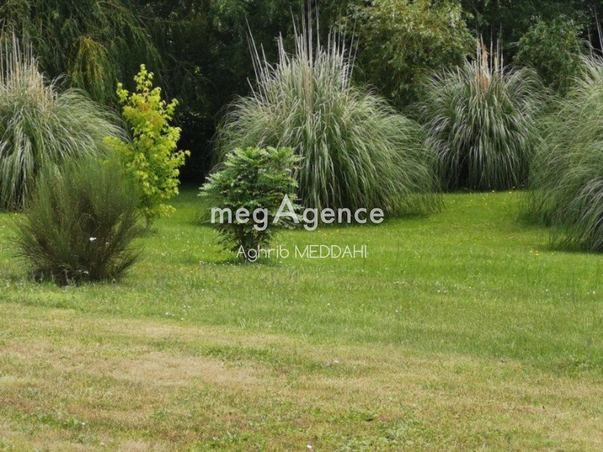 Miniature photo - 6 / 8