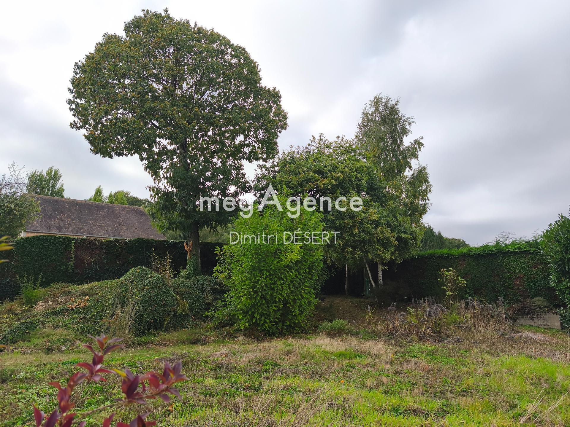 Miniature photo - 14 / 14