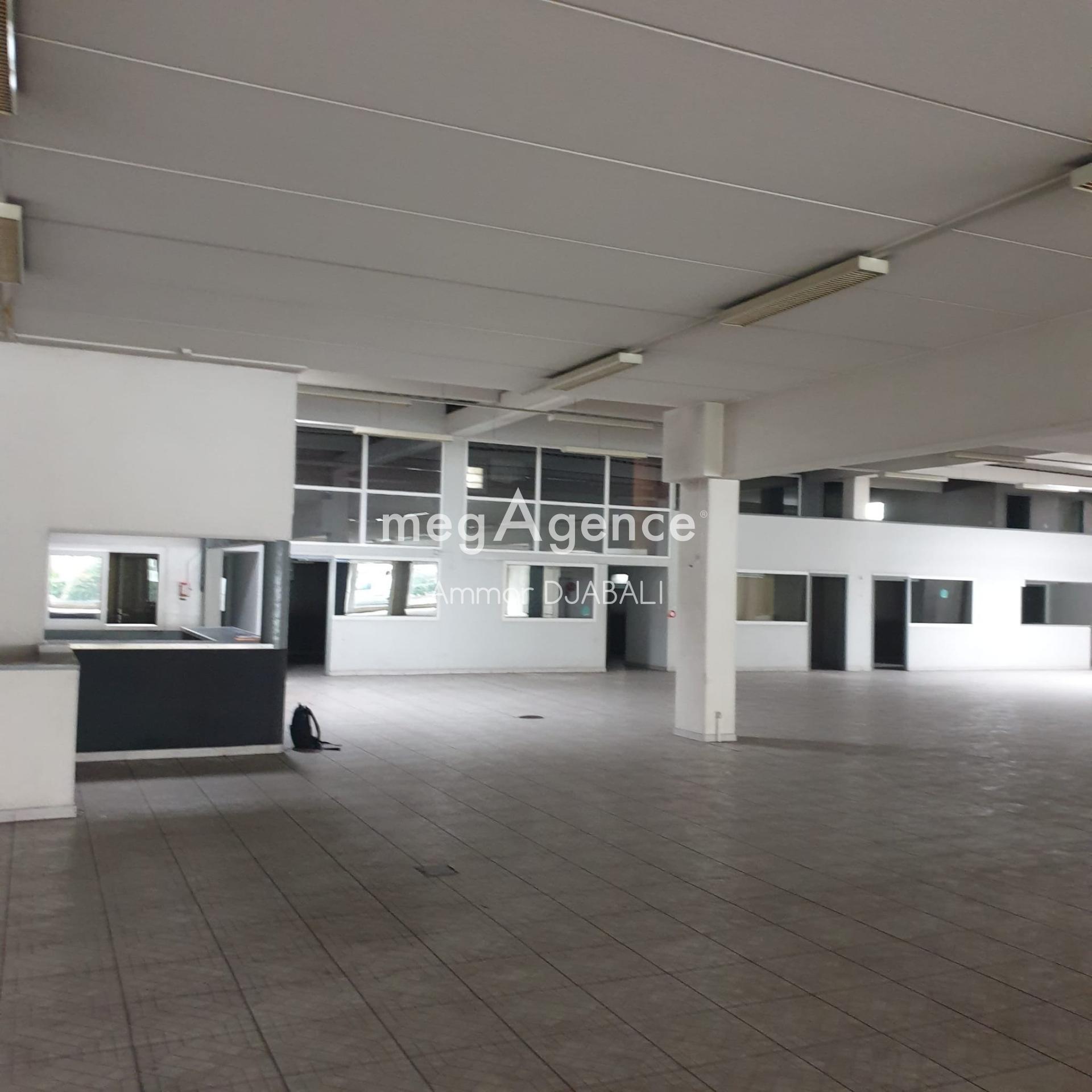 Miniature photo - 4 / 9