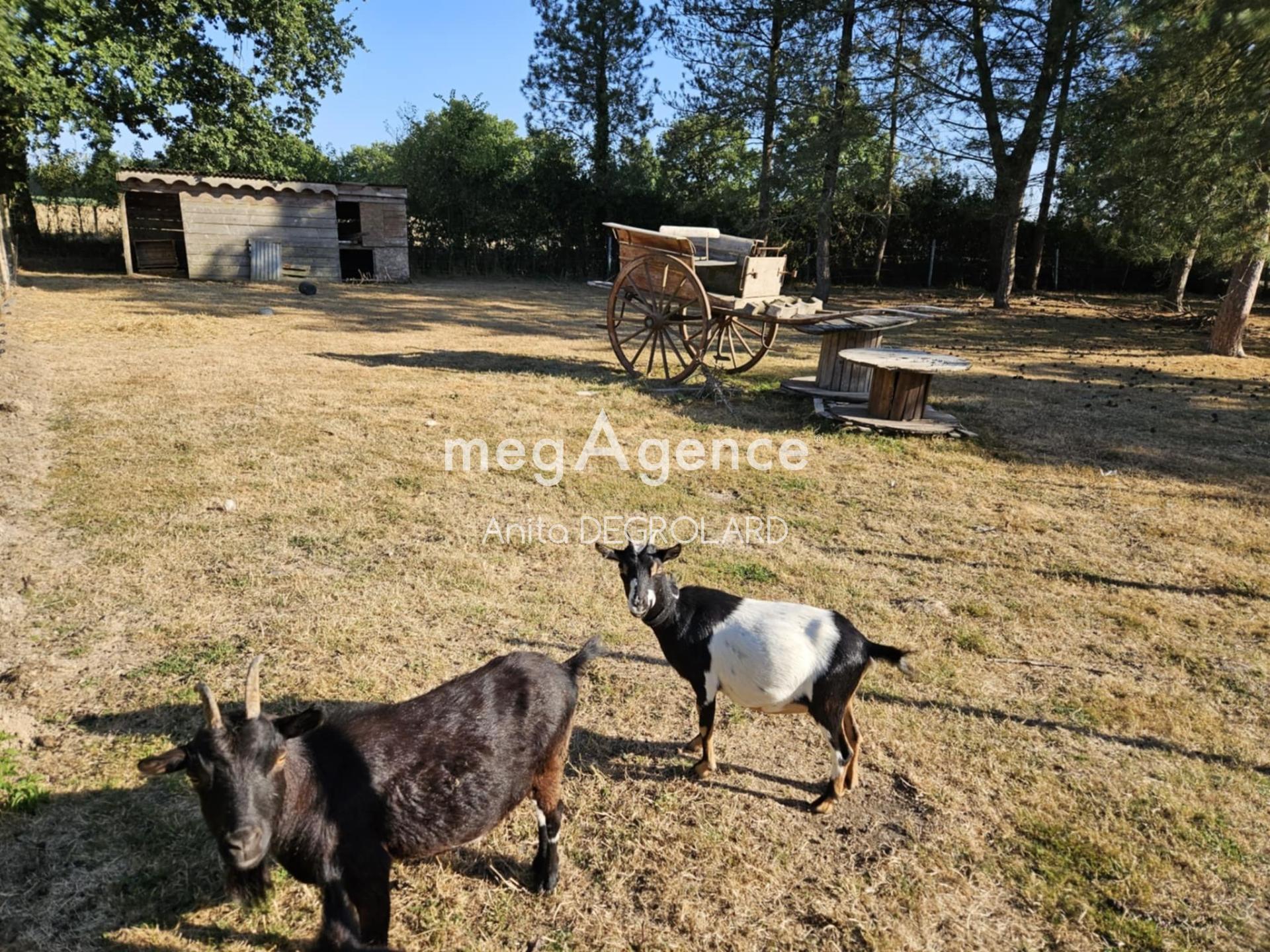 Miniature photo - 14 / 16