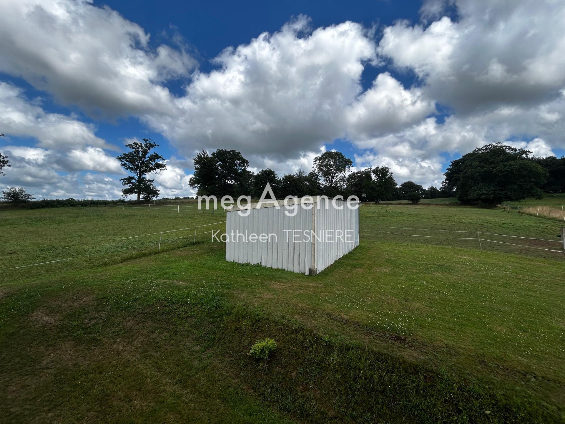 Miniature photo - 18 / 20