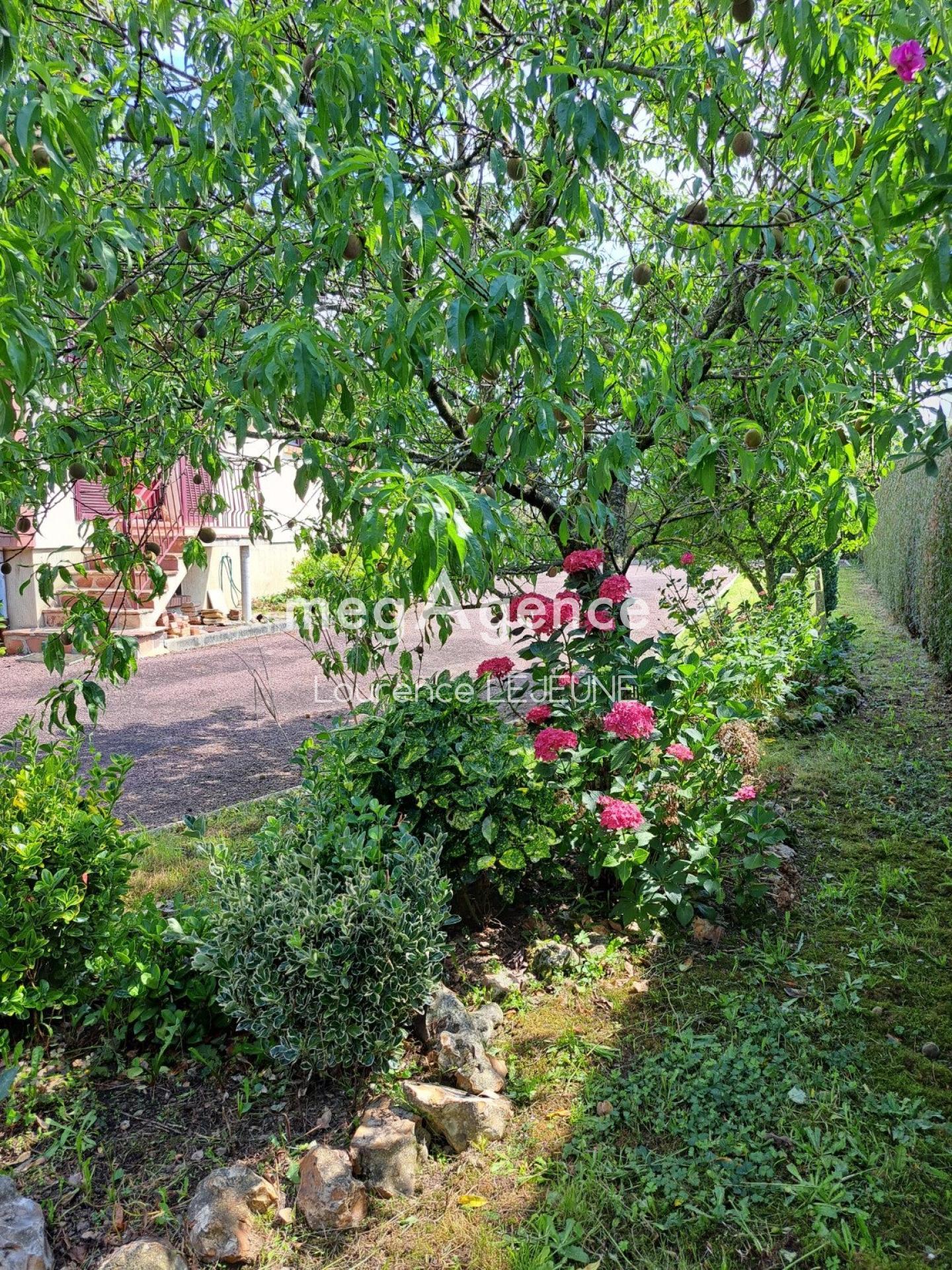 Miniature photo - 6 / 13