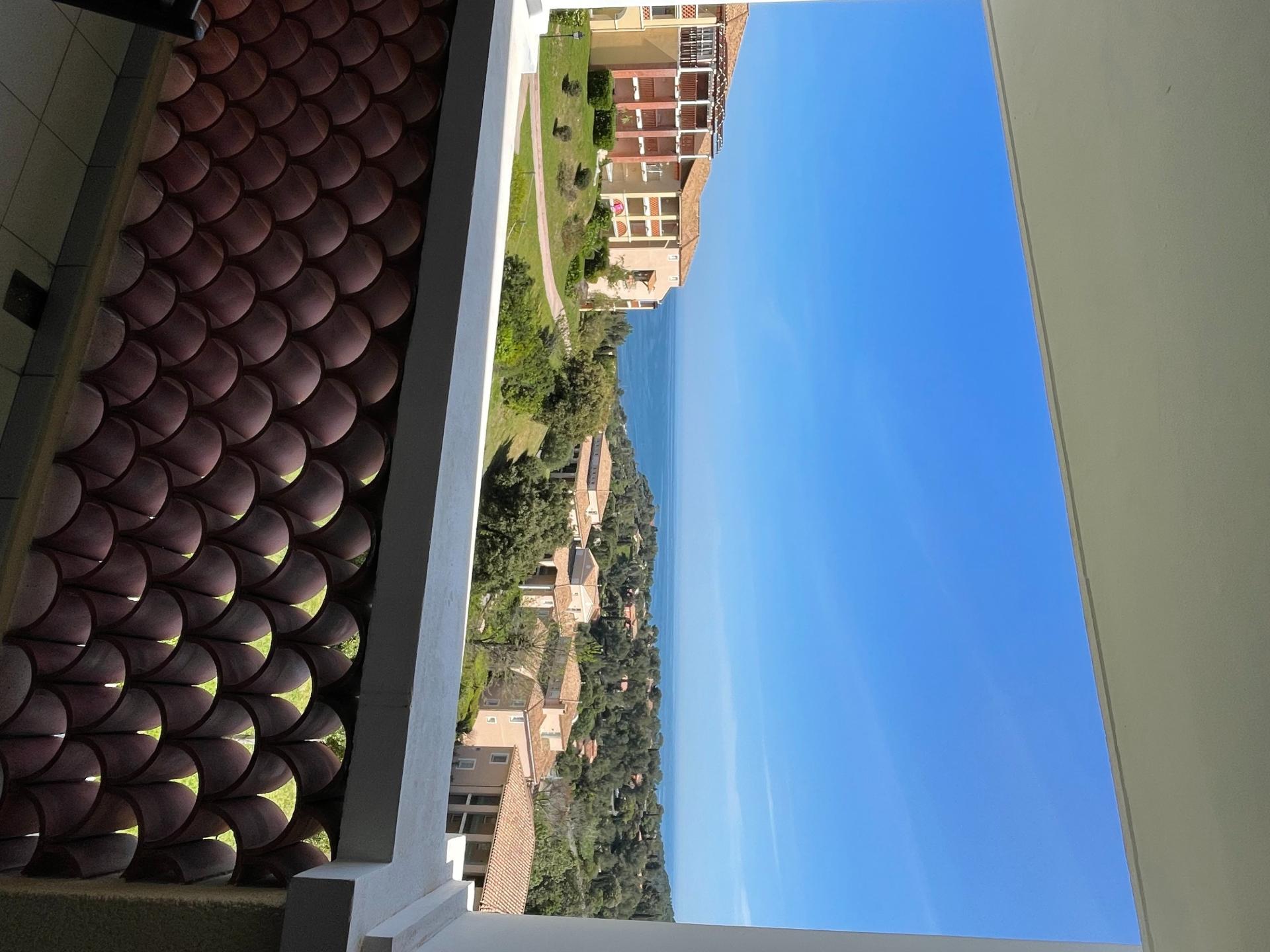 Miniature photo - 4 / 12
