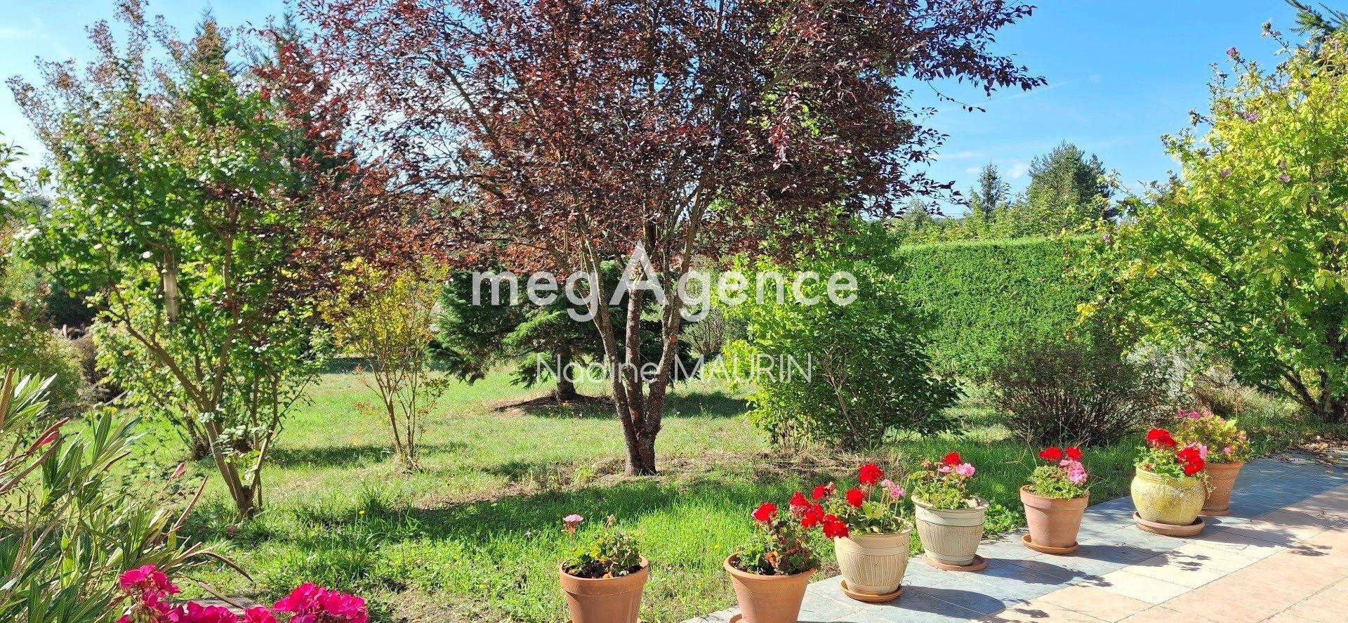 Miniature photo - 3 / 10