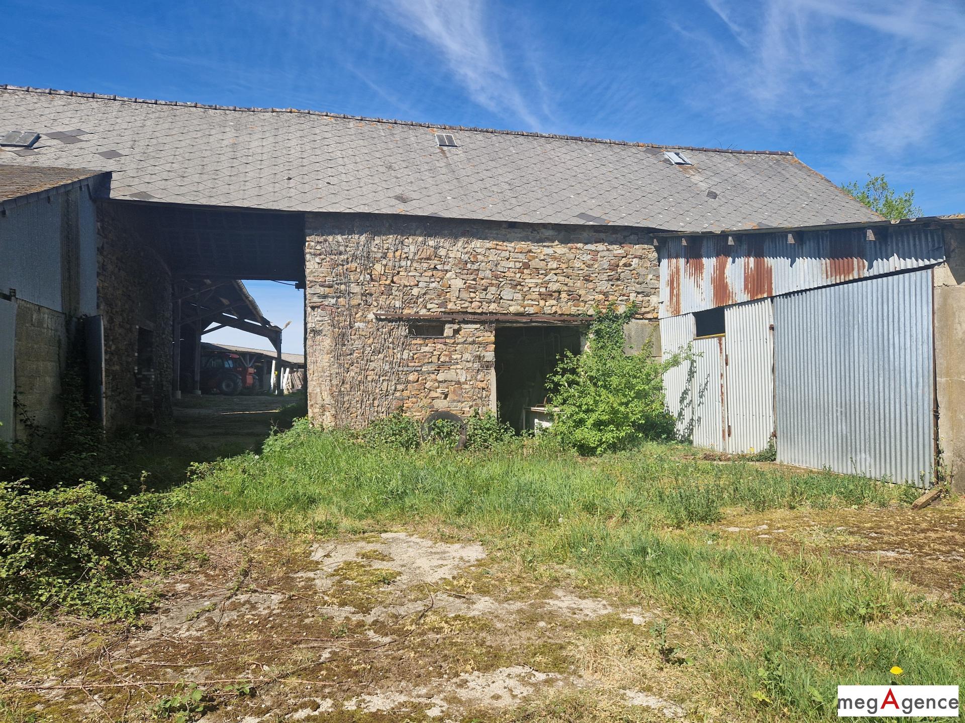 Miniature photo - 13 / 13