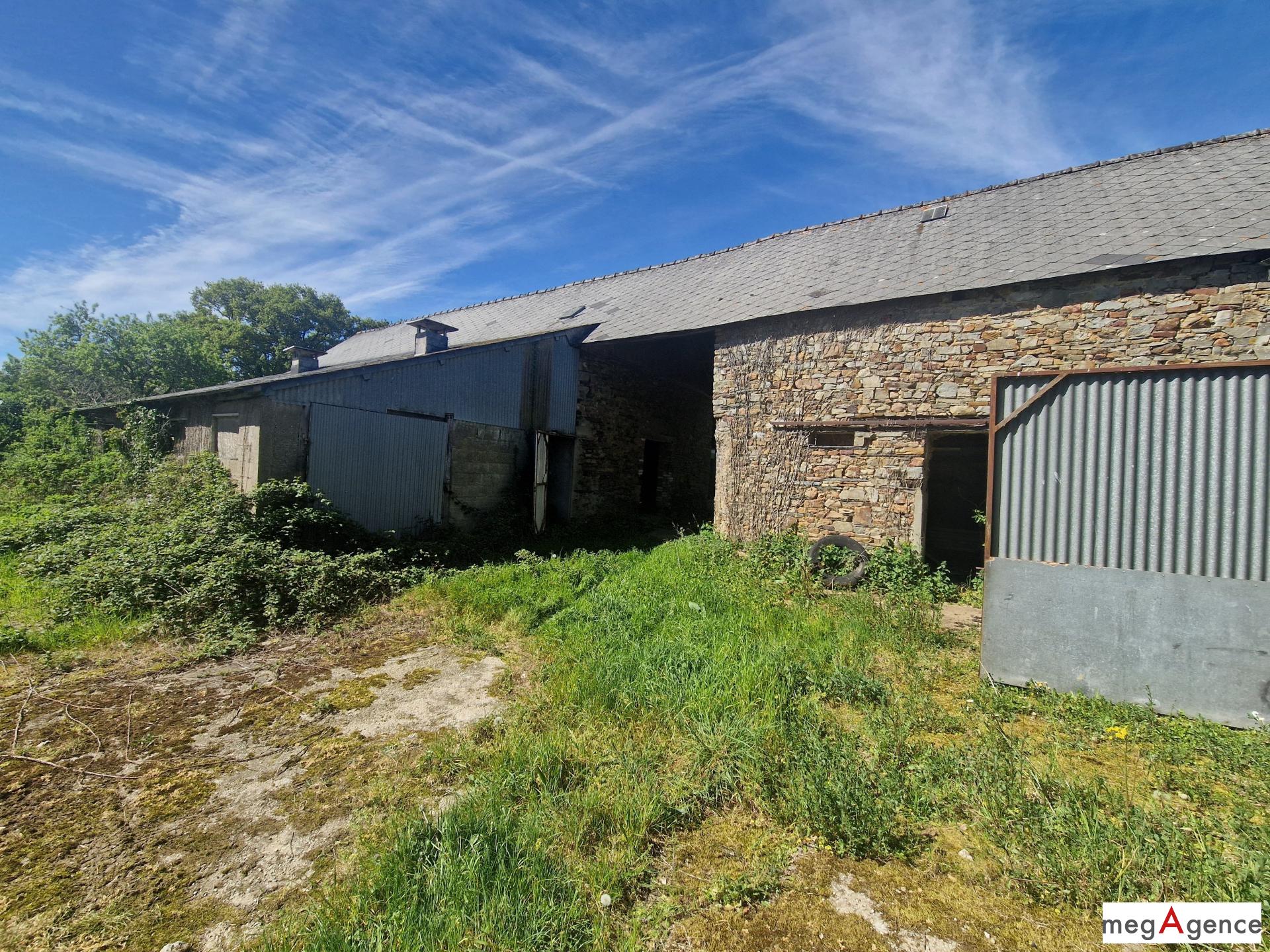 Miniature photo - 12 / 13