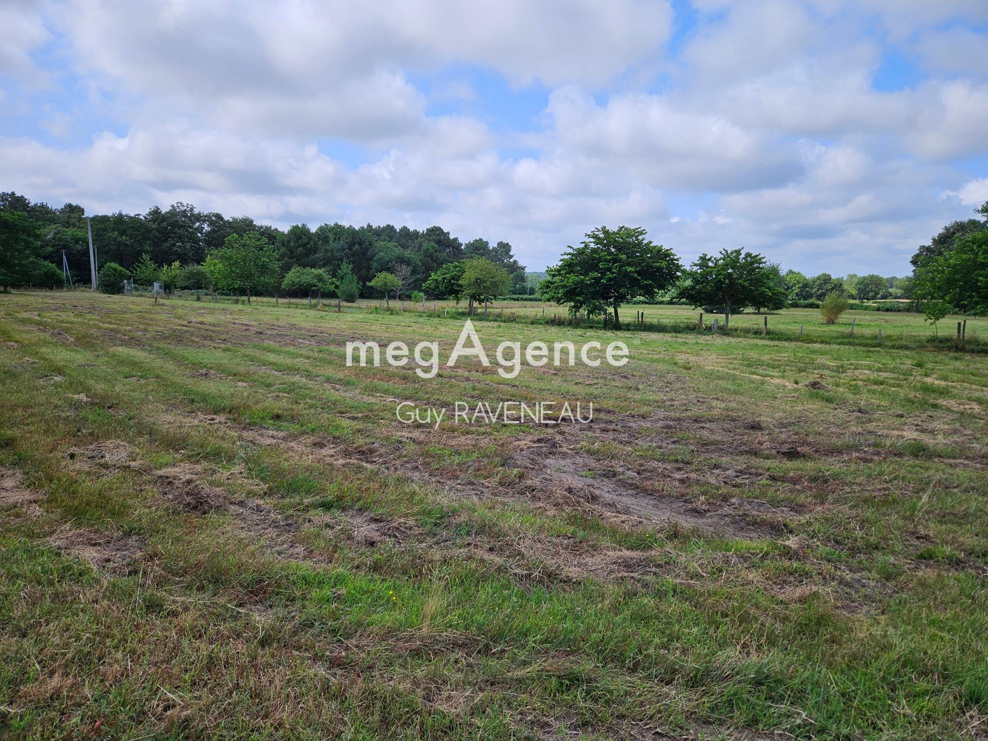 Miniature photo - 14 / 14