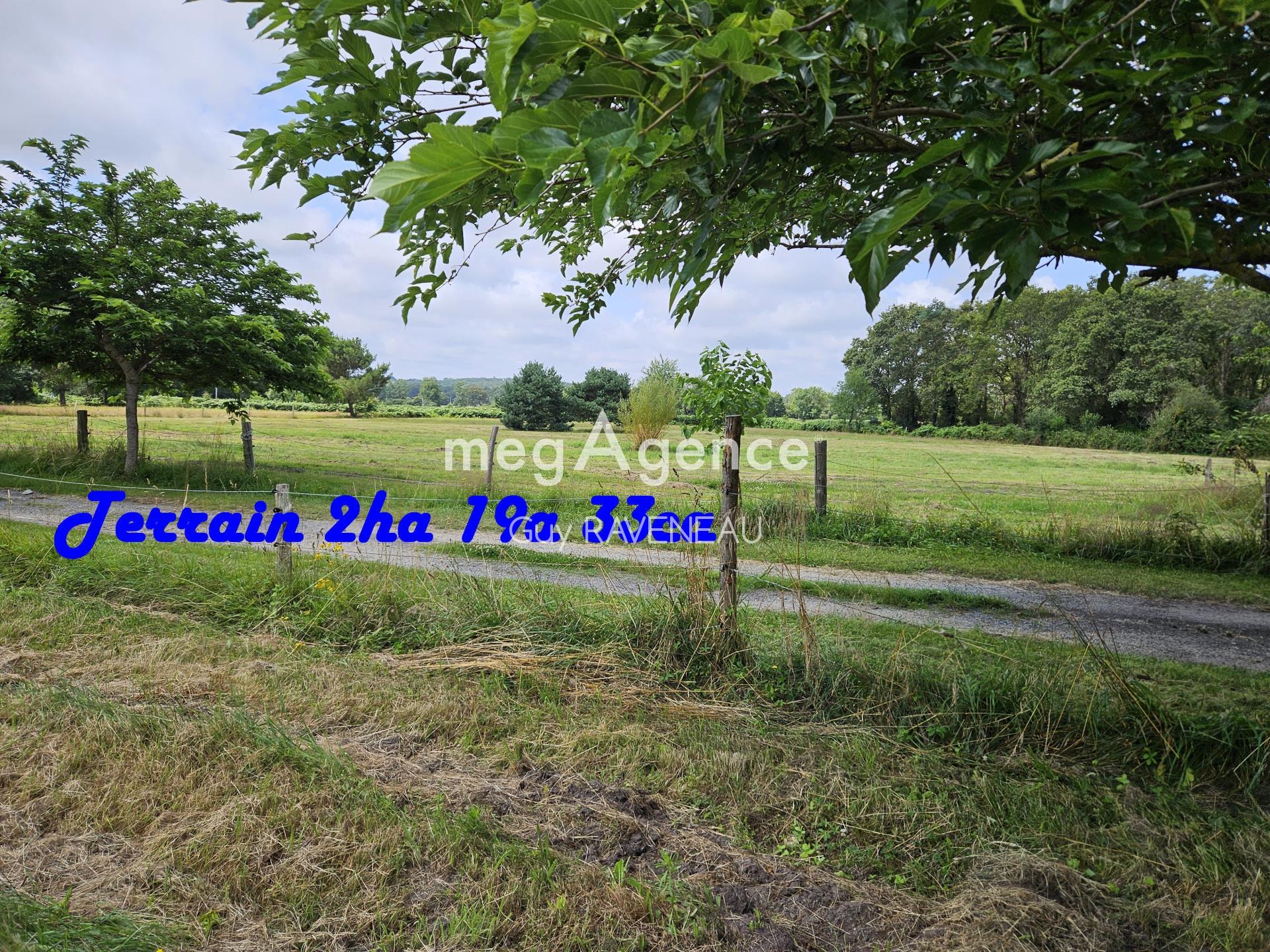 Miniature photo - 13 / 14