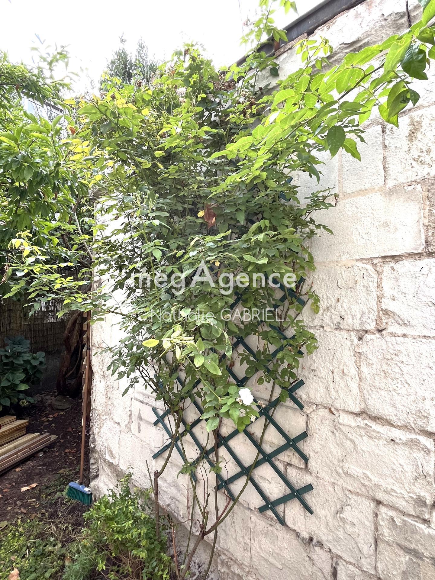 Miniature photo - 17 / 19