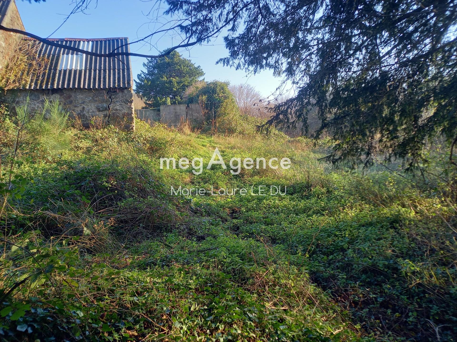 Miniature photo - 10 / 16