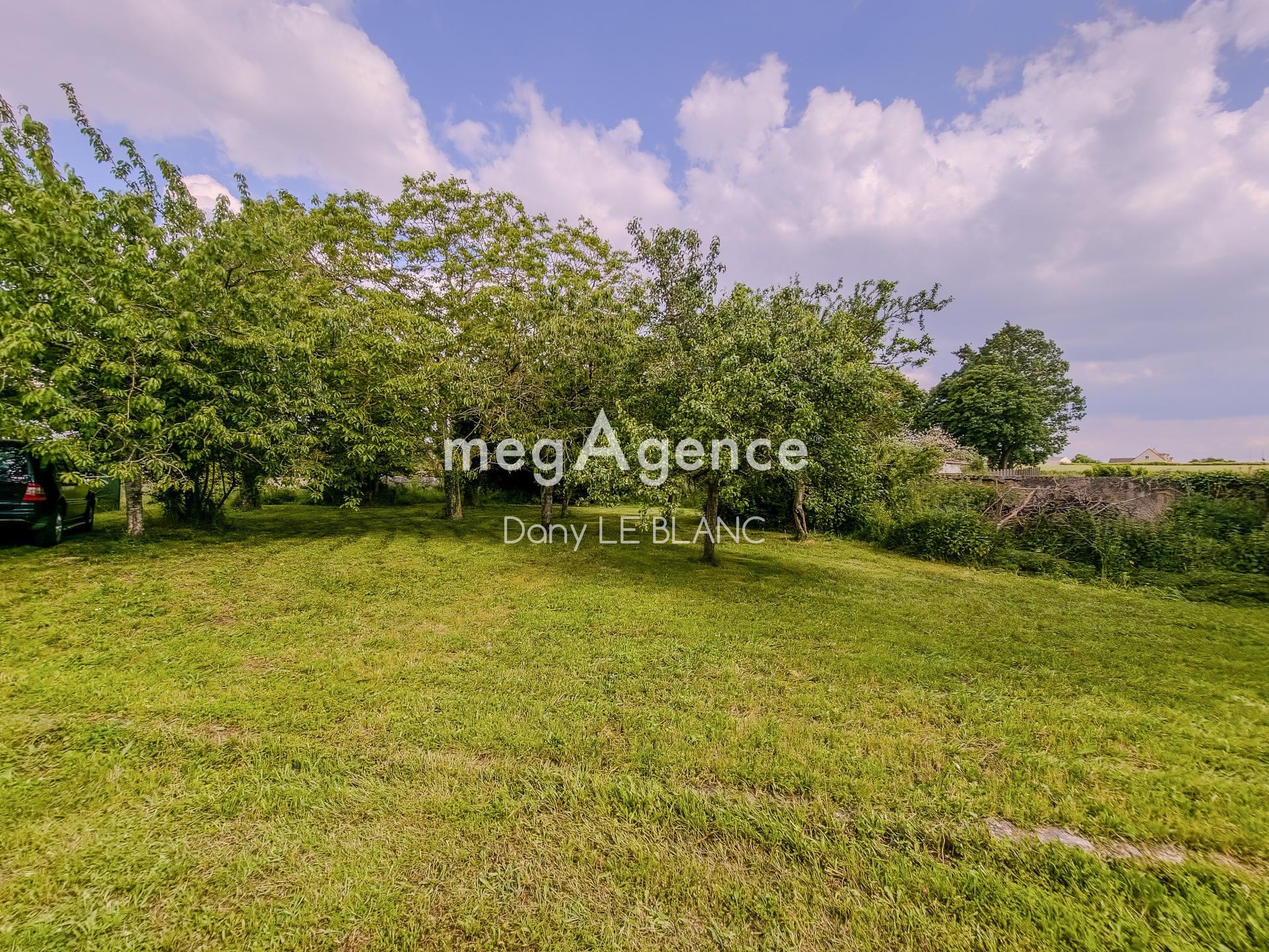 Miniature photo - 11 / 13