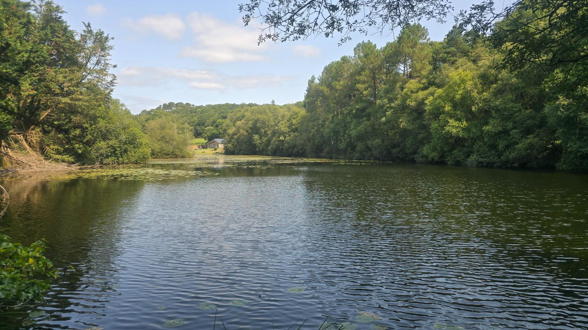 Miniature photo - 15 / 20