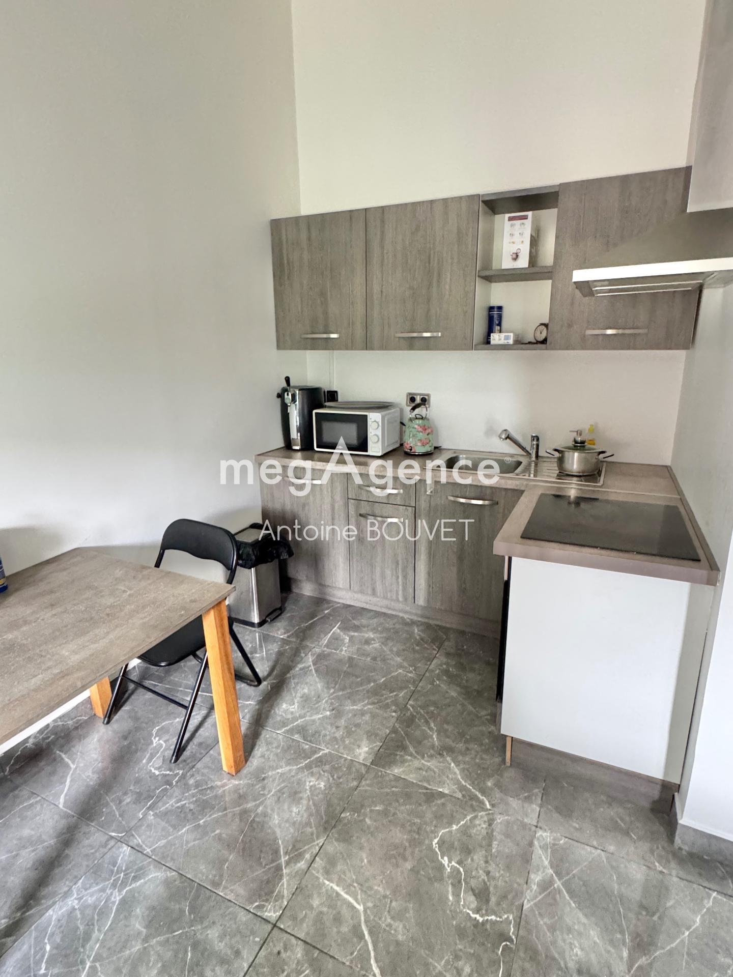 Miniature photo - 3 / 5