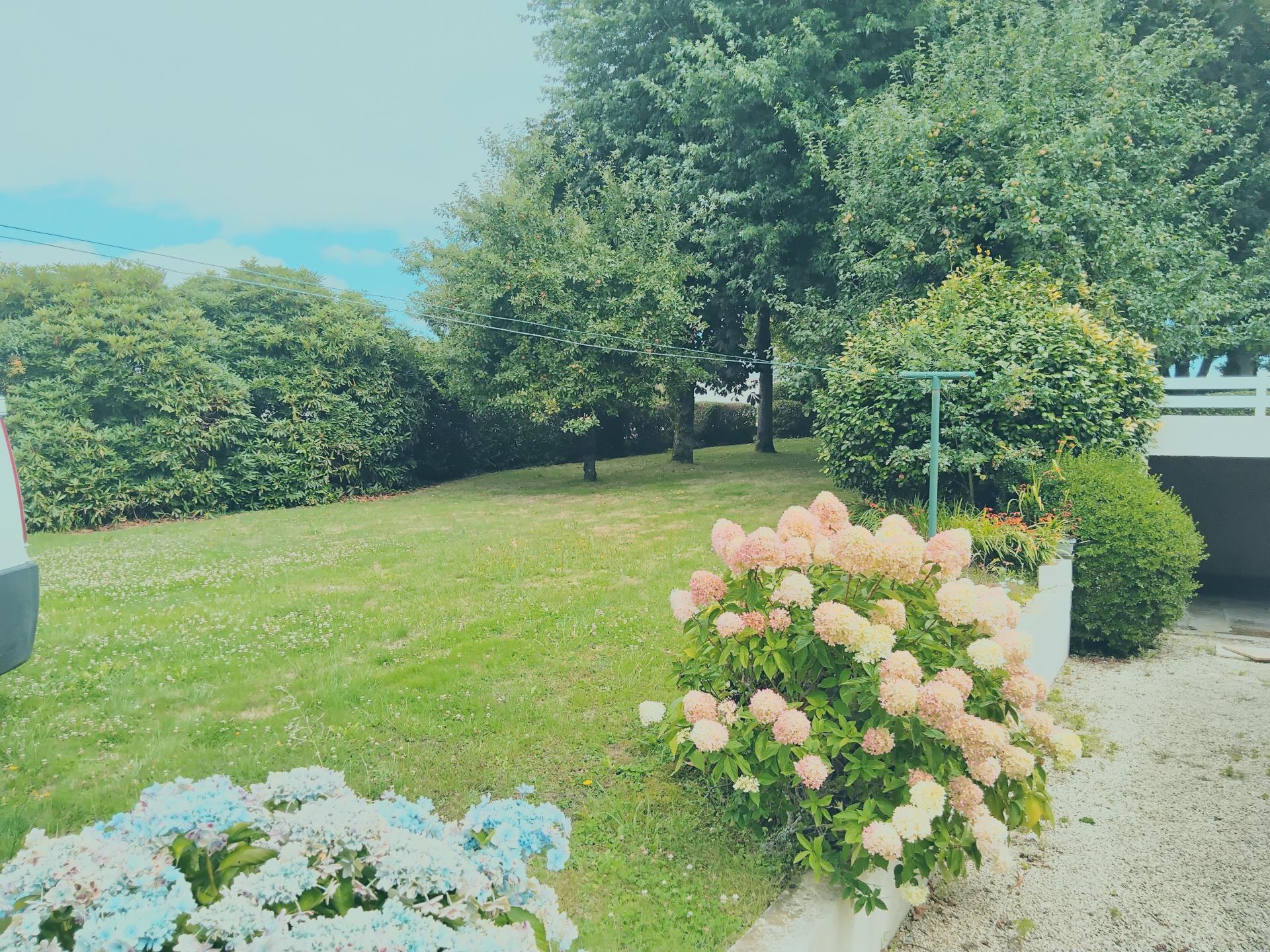 Miniature photo - 2 / 11