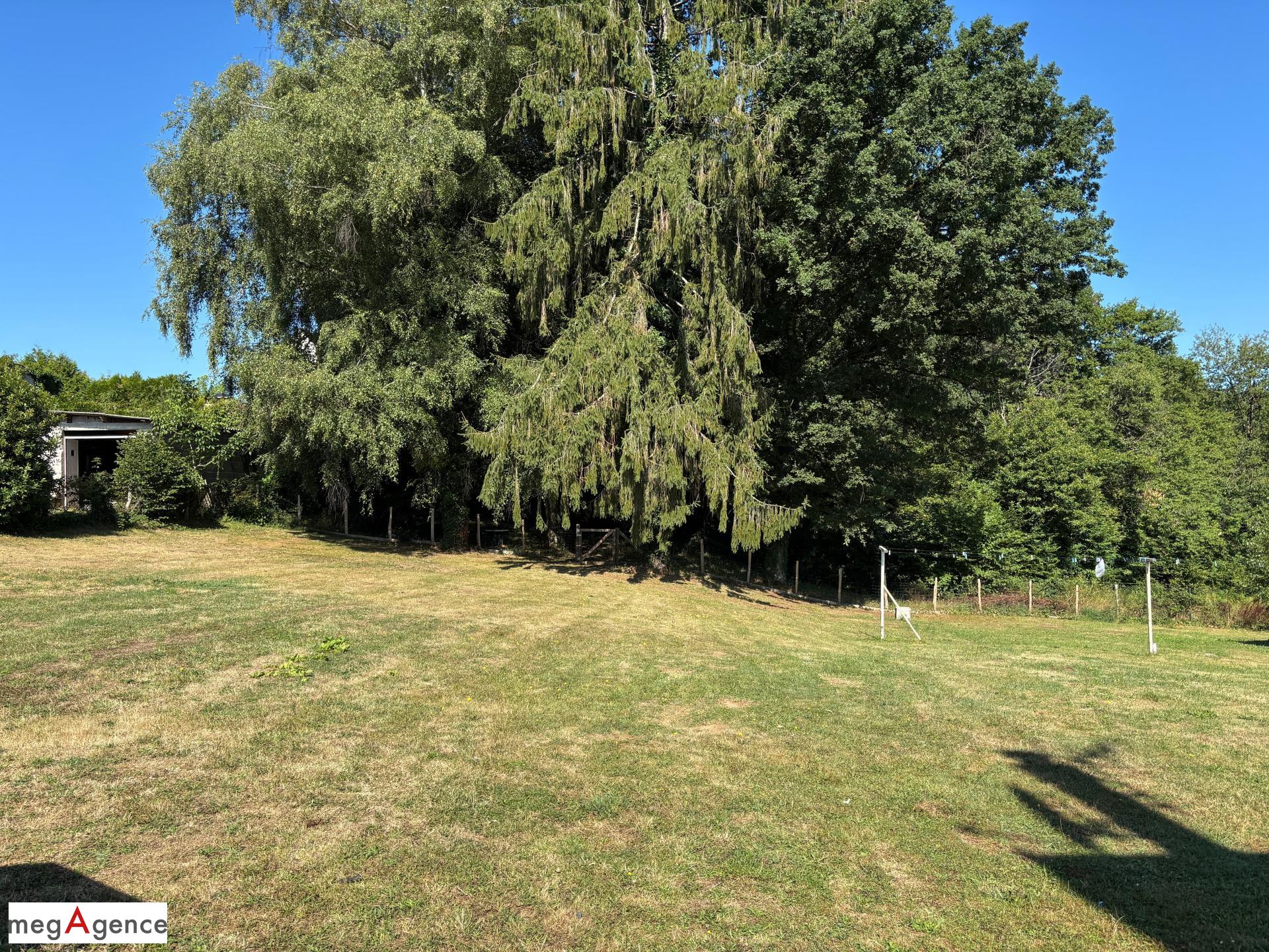 Miniature photo - 4 / 20