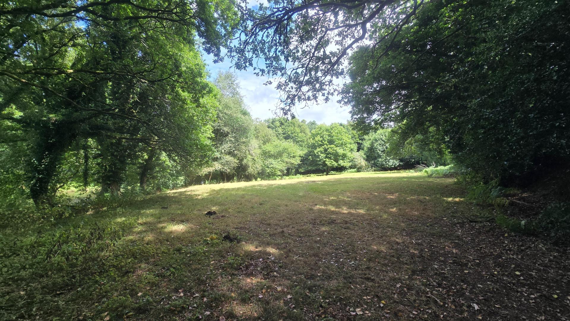 Miniature photo - 16 / 19