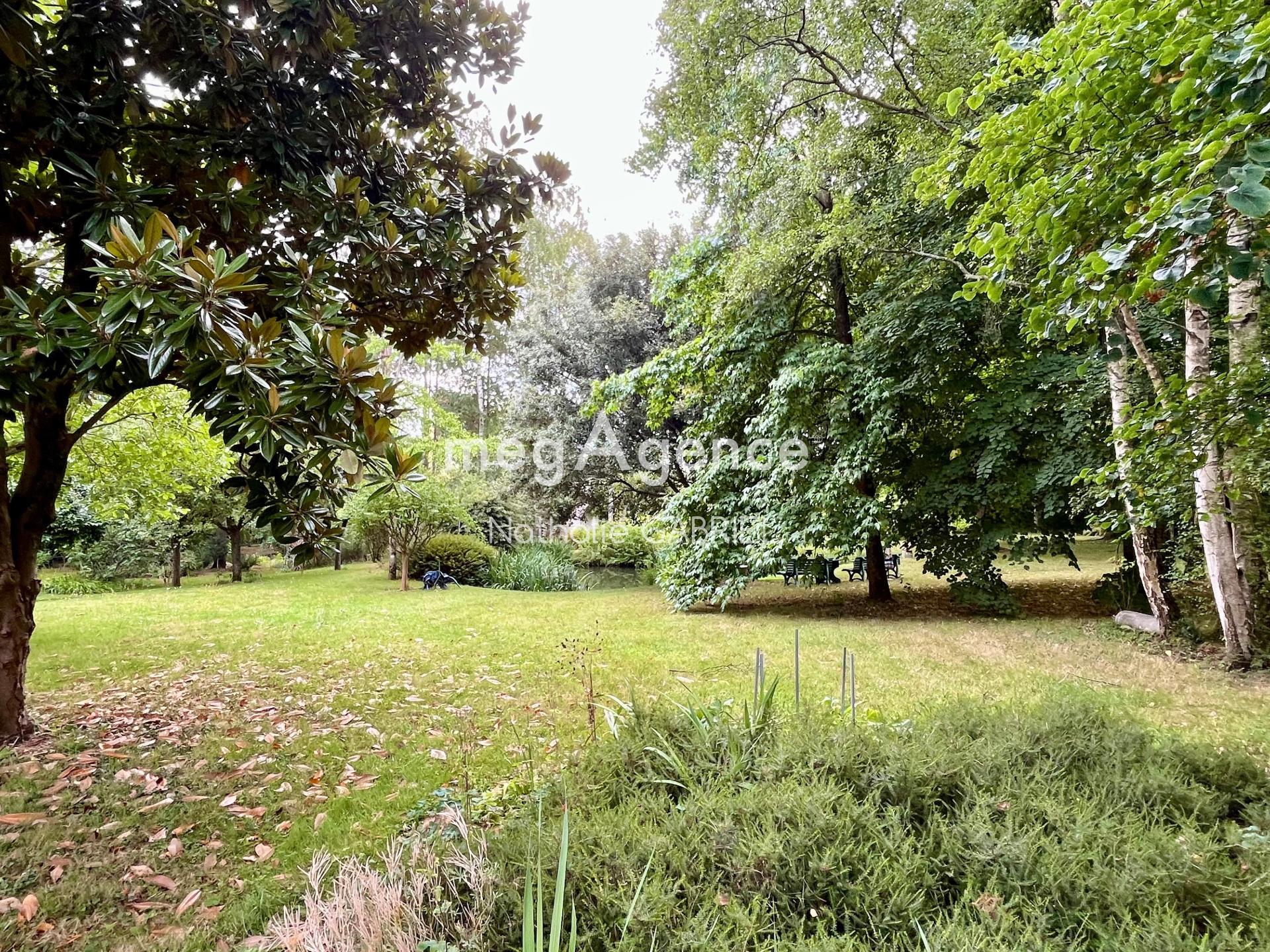 Miniature photo - 4 / 14