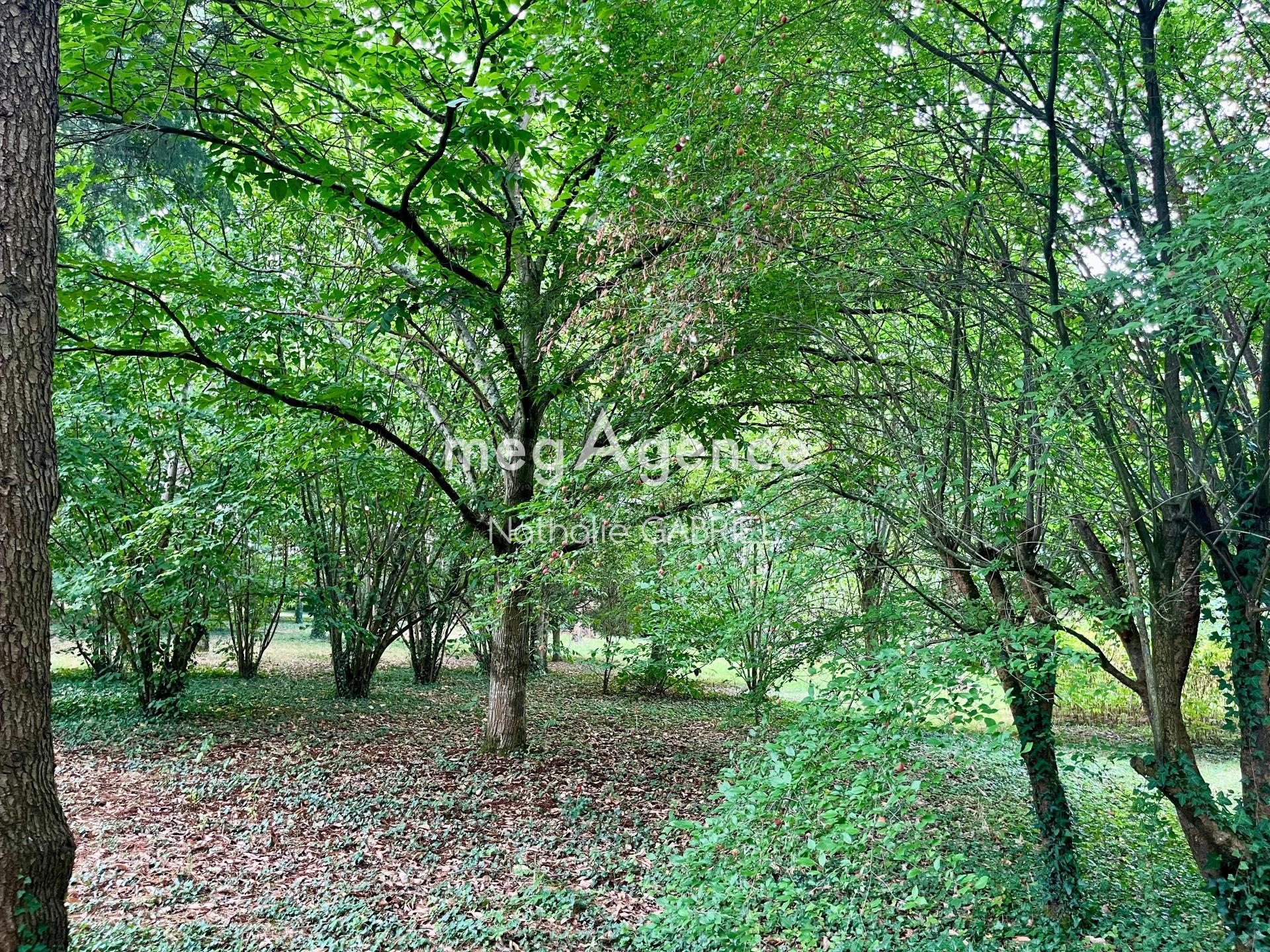 Miniature photo - 11 / 14