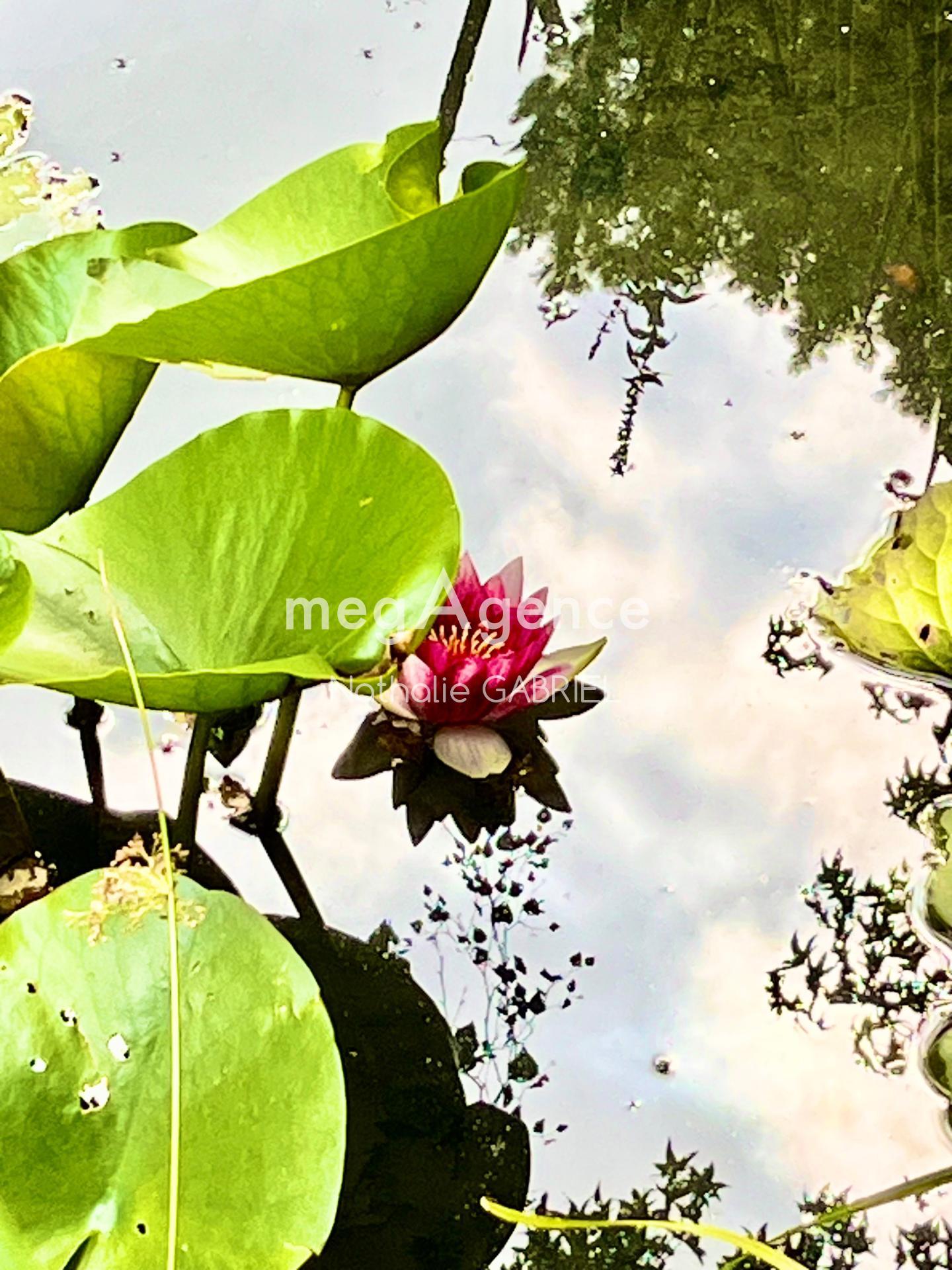 Miniature photo - 8 / 14