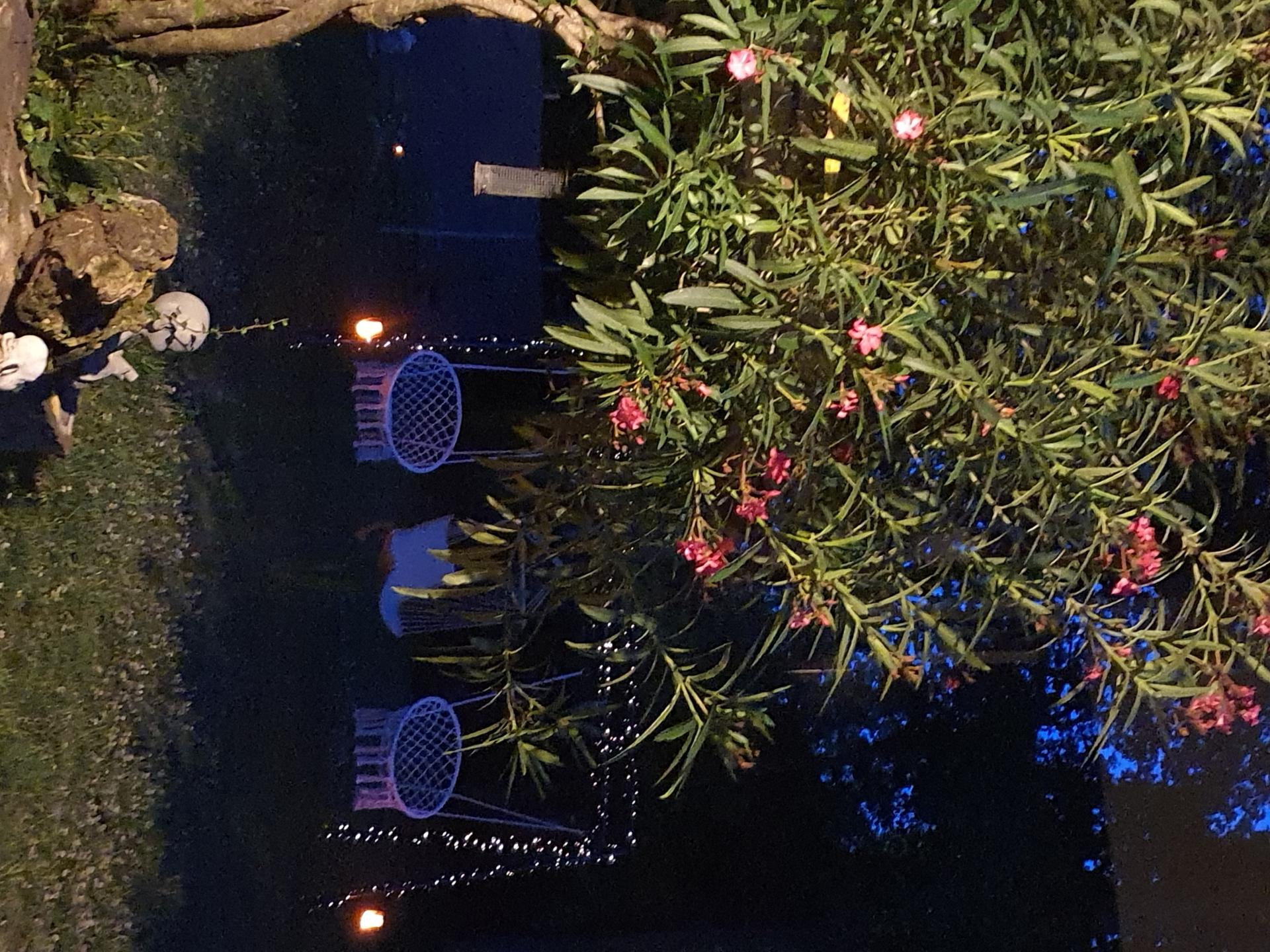 Miniature photo - 2 / 7