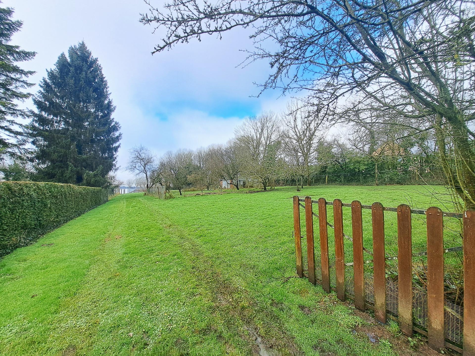 Miniature photo - 10 / 10