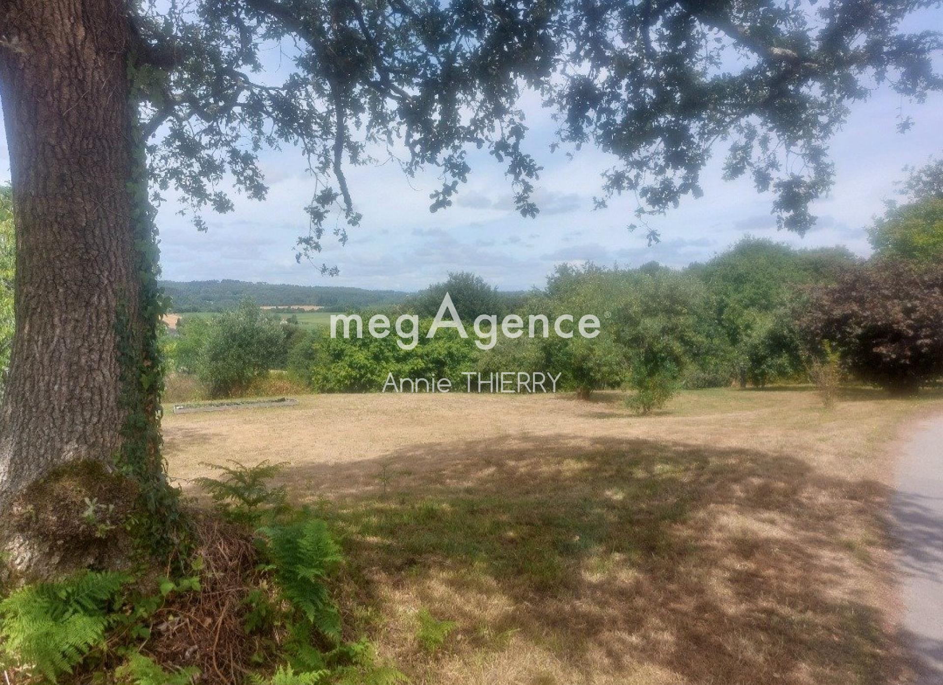 Miniature photo - 6 / 8