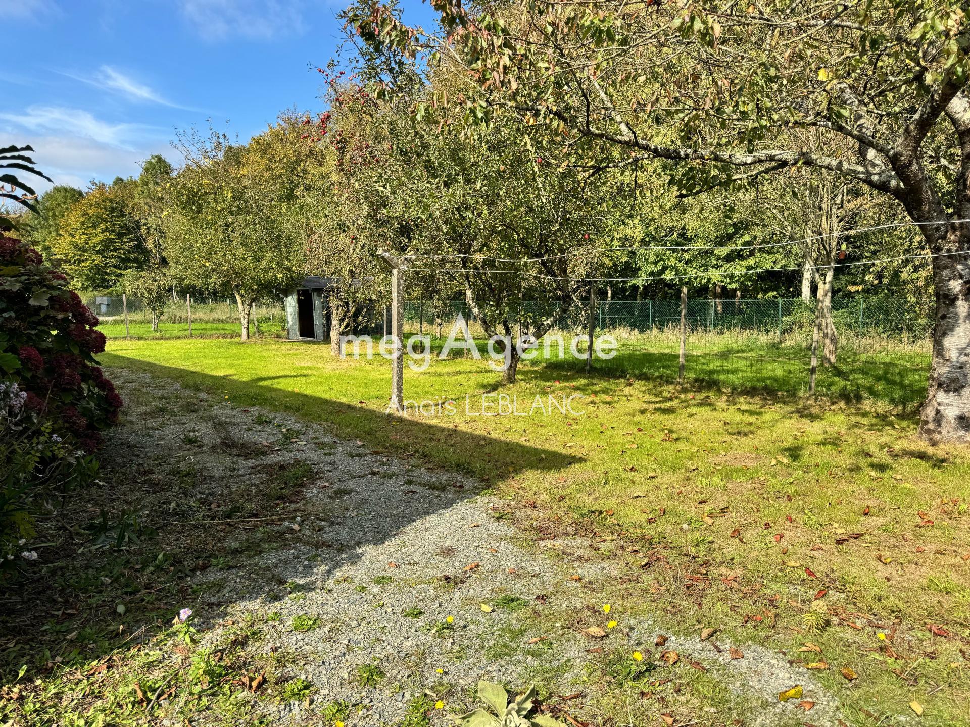 Miniature photo - 5 / 5