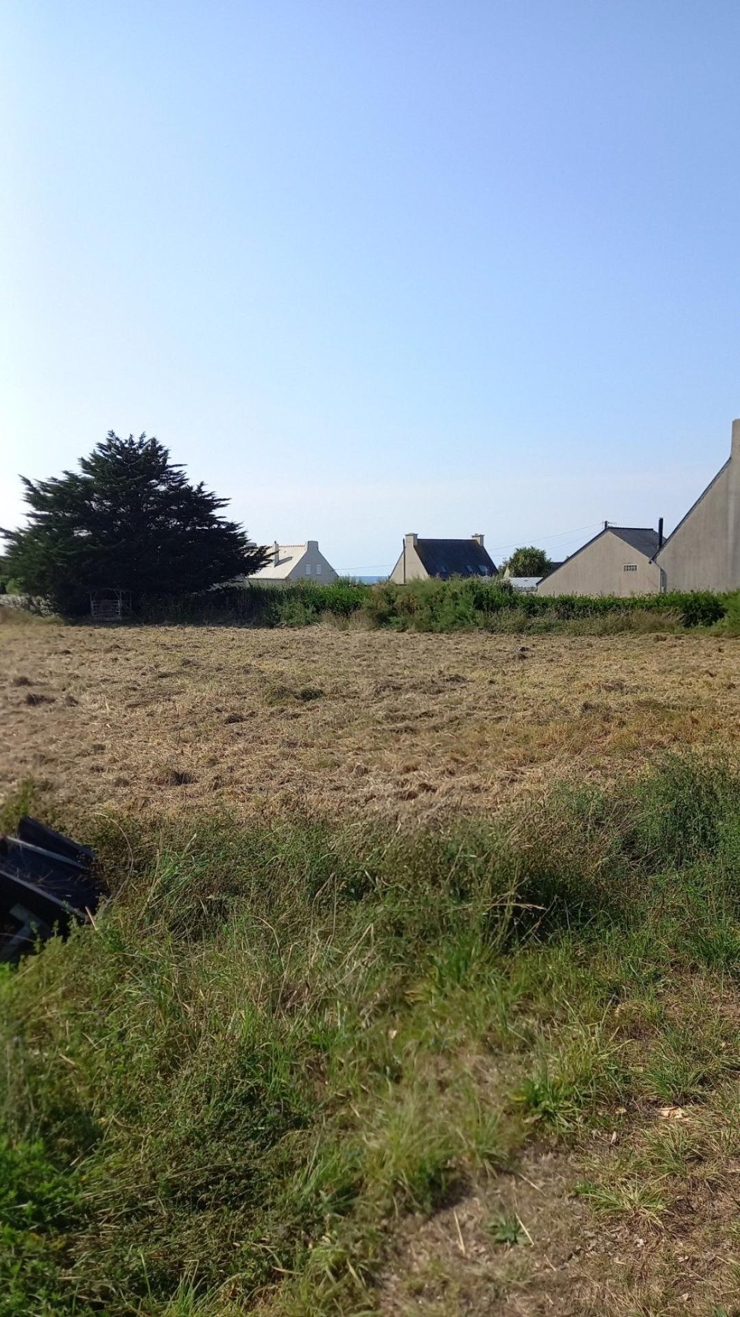 Miniature photo - 8 / 8