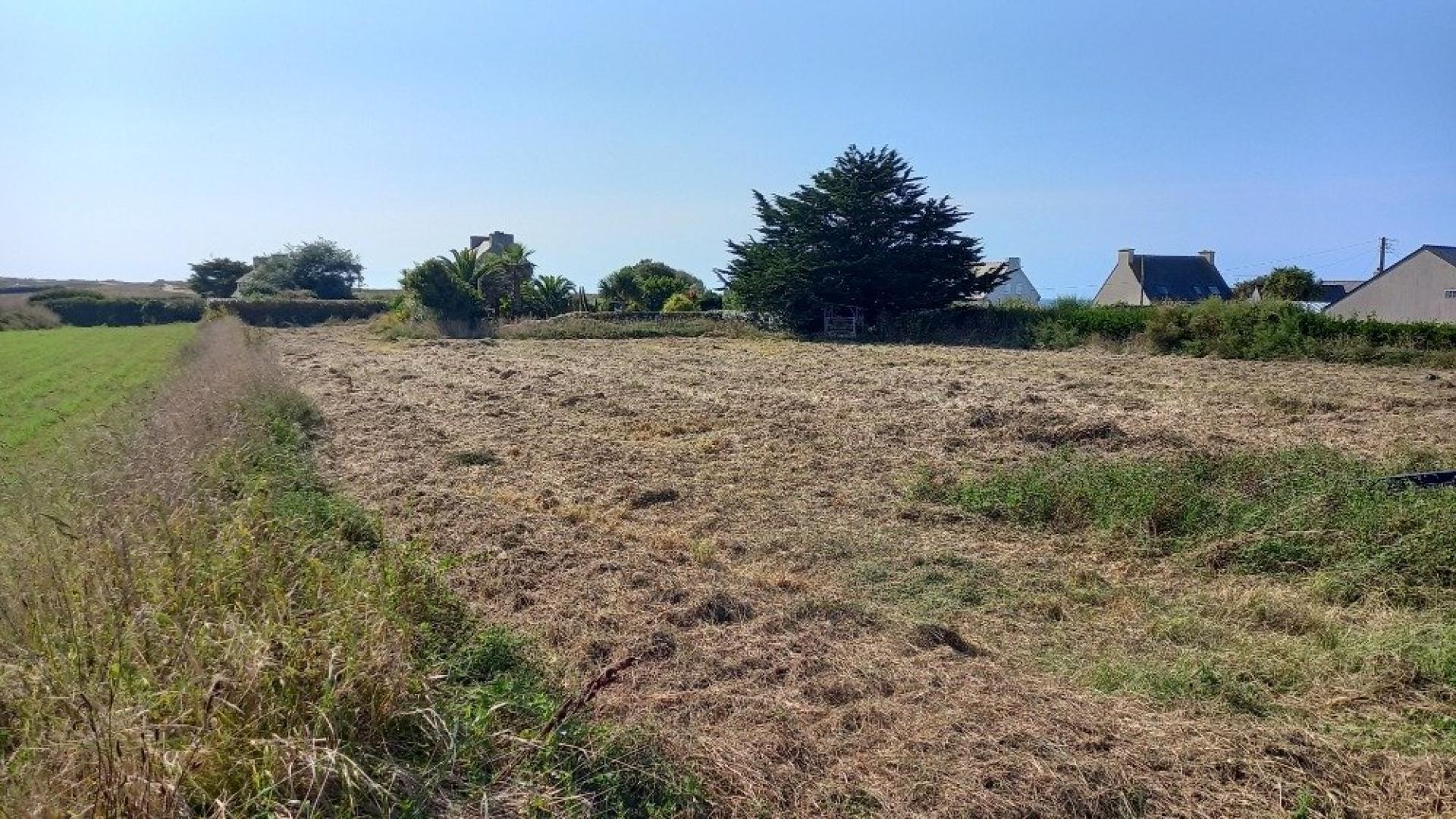 Miniature photo - 3 / 8