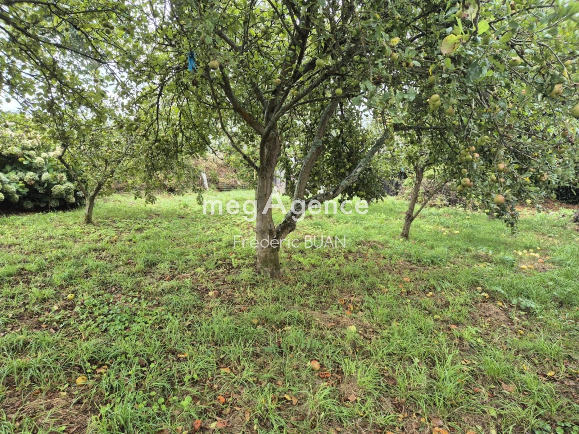 Miniature photo - 9 / 9