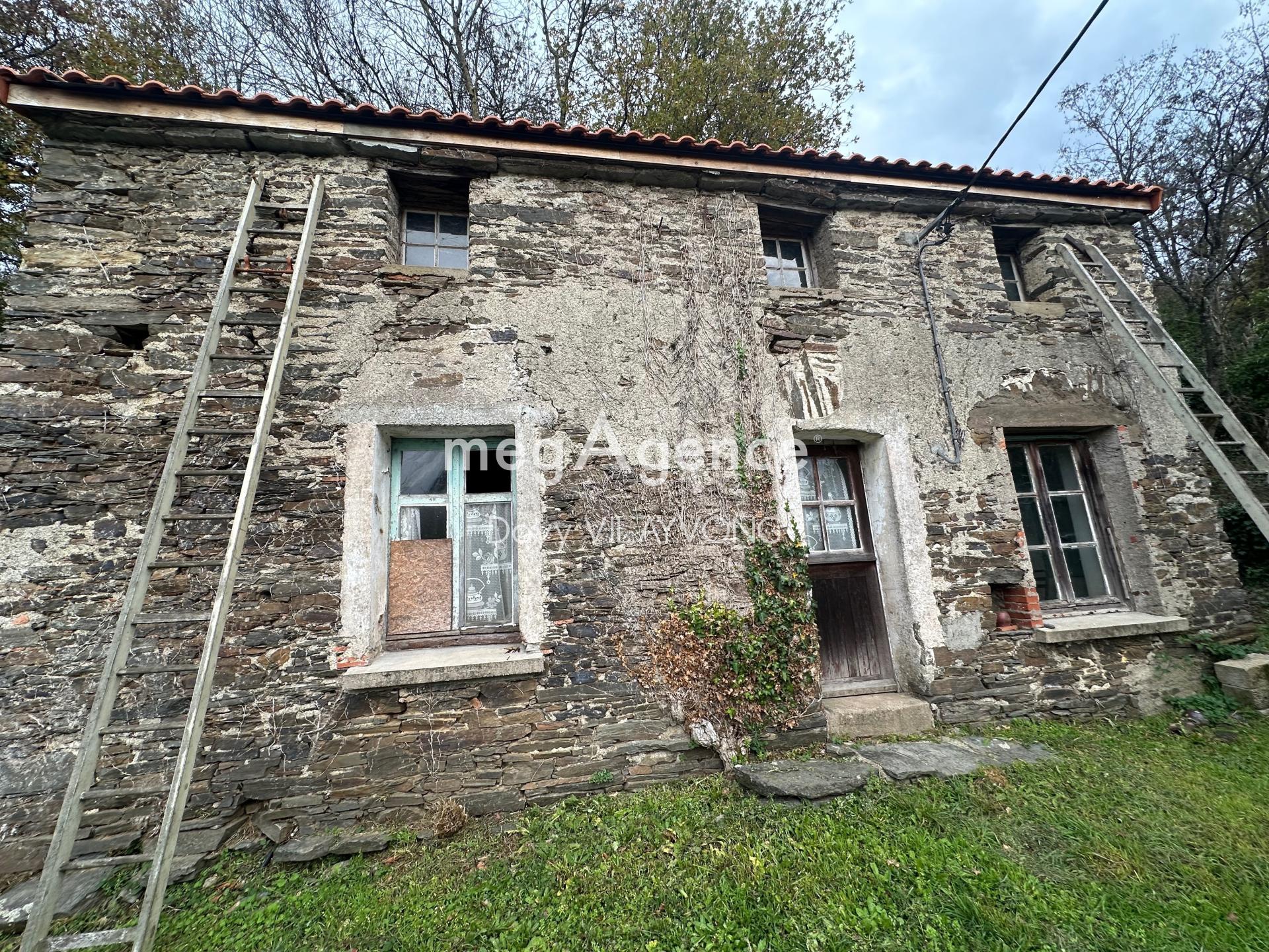 Miniature photo - 2 / 14