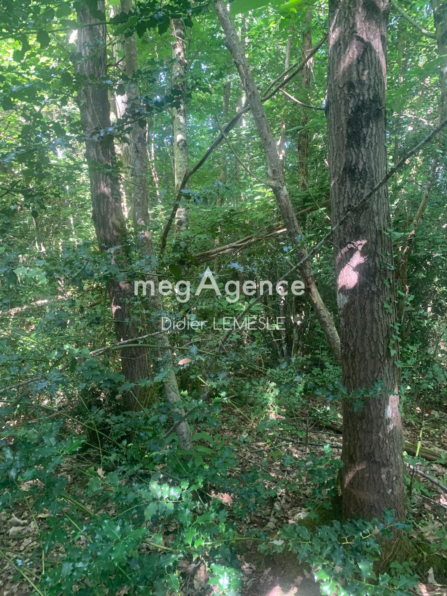 Miniature photo - 2 / 3