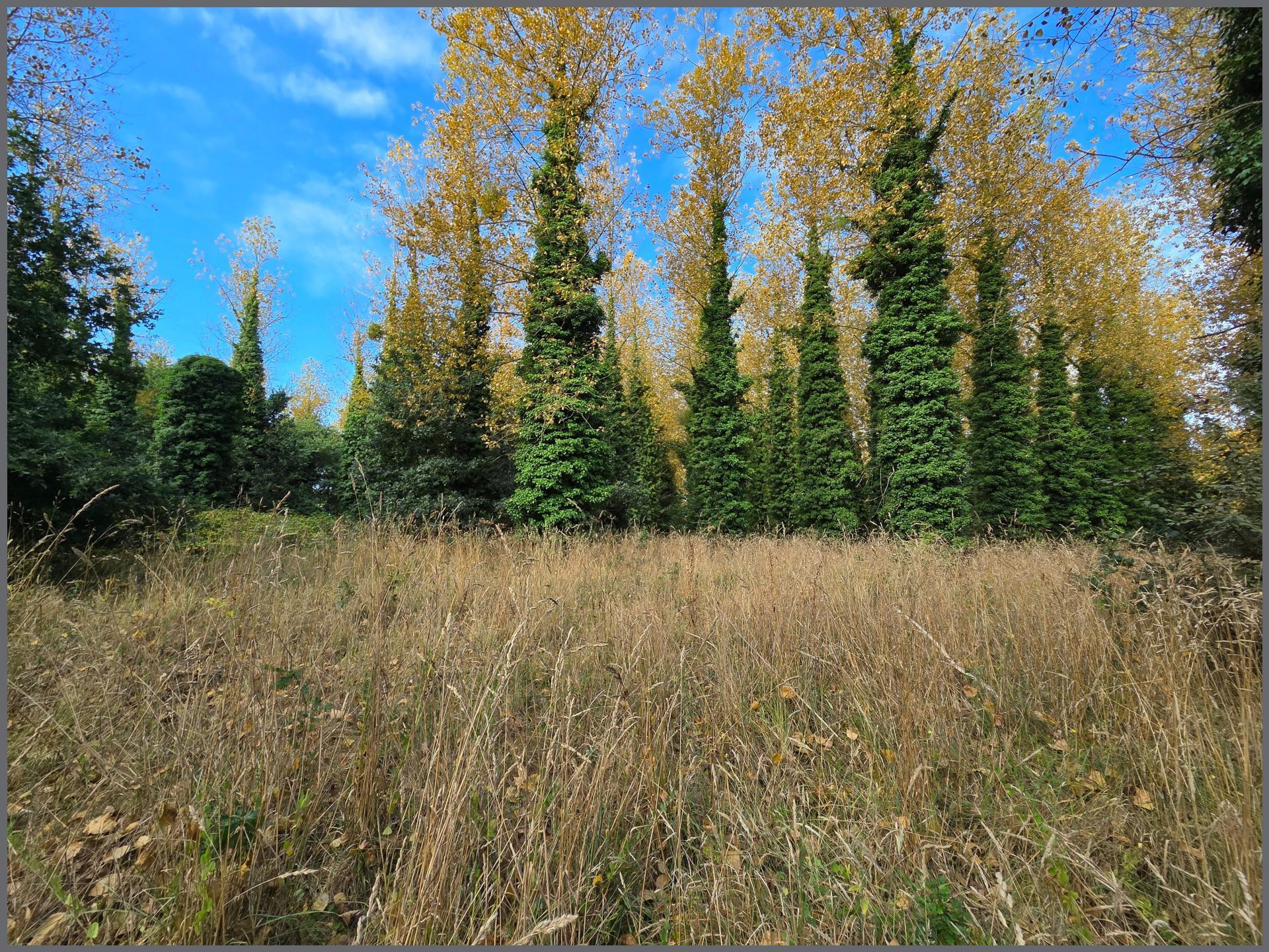 Miniature photo - 13 / 14