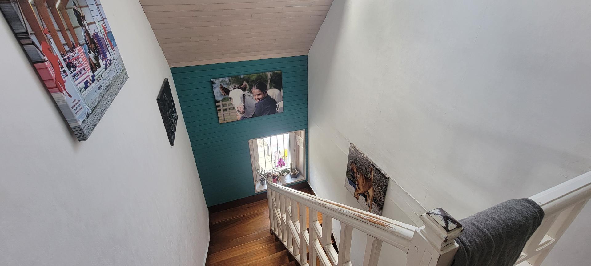 Miniature photo - 9 / 13