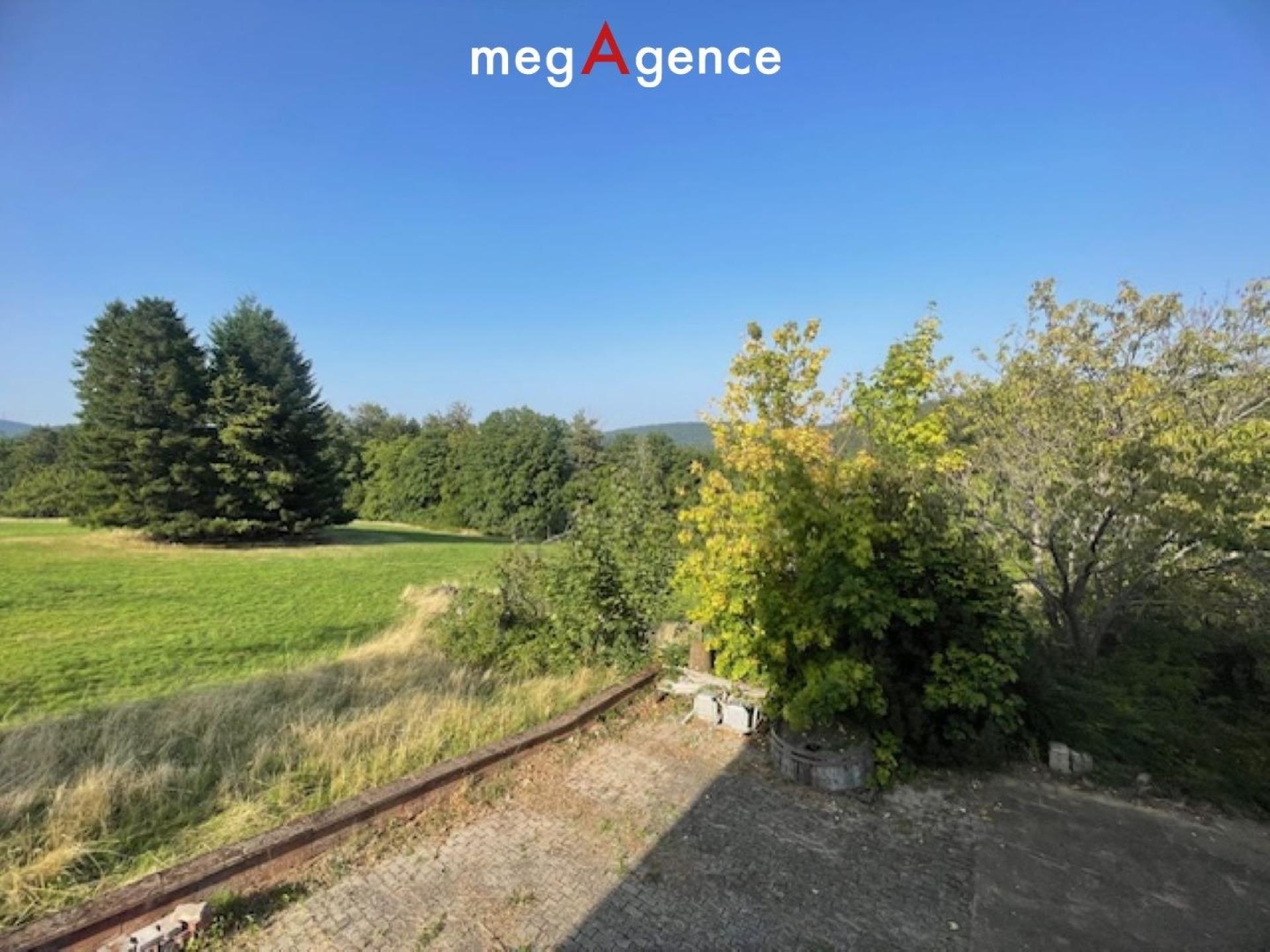 Miniature photo - 16 / 19