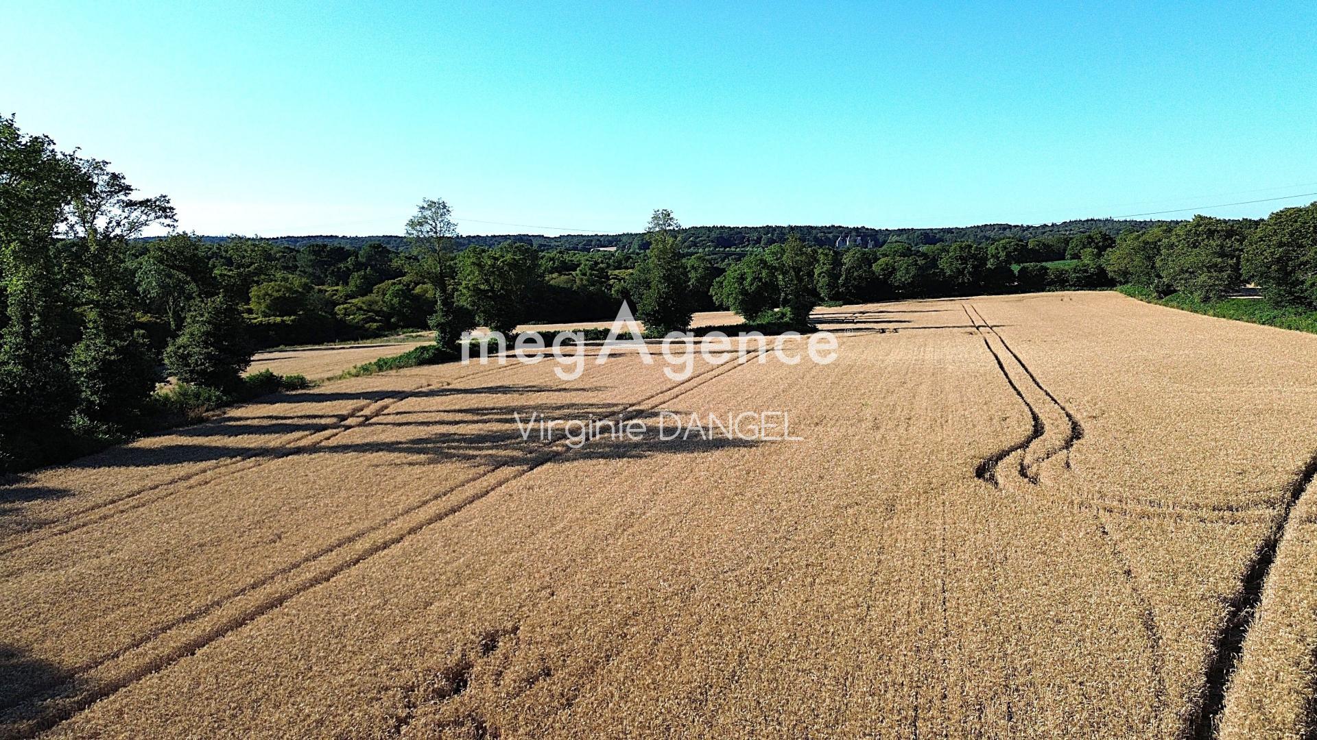 Miniature photo - 7 / 7