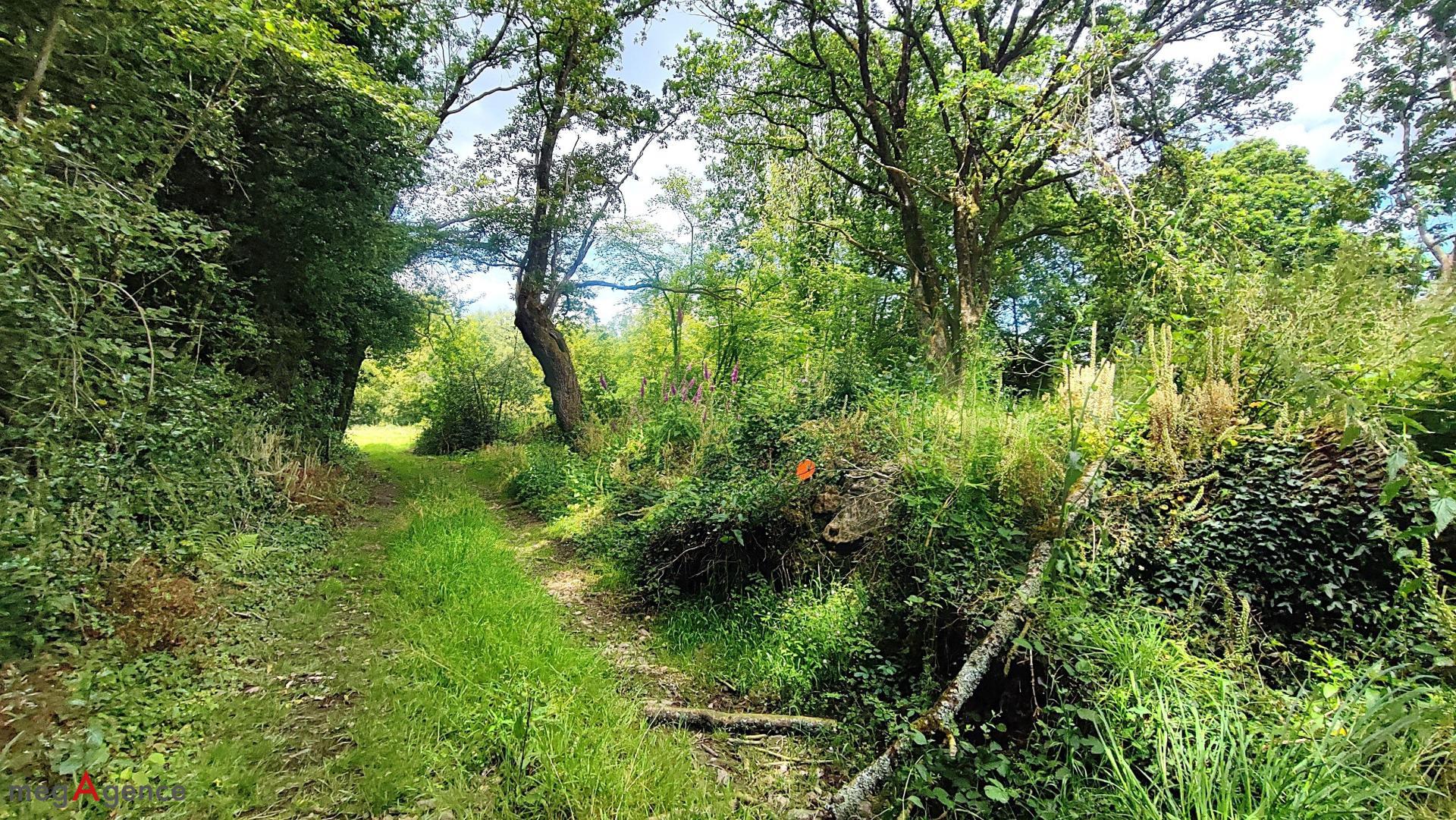 Miniature photo - 6 / 7