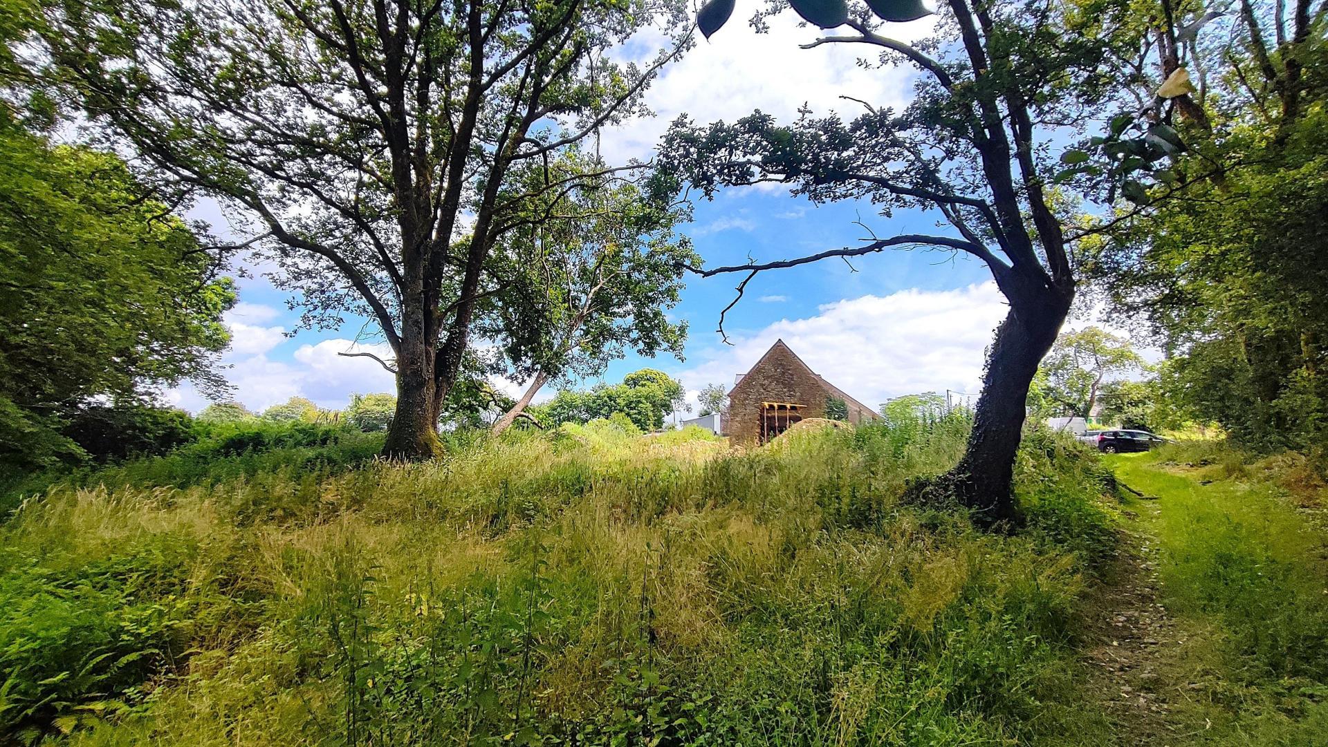 Miniature photo - 5 / 7