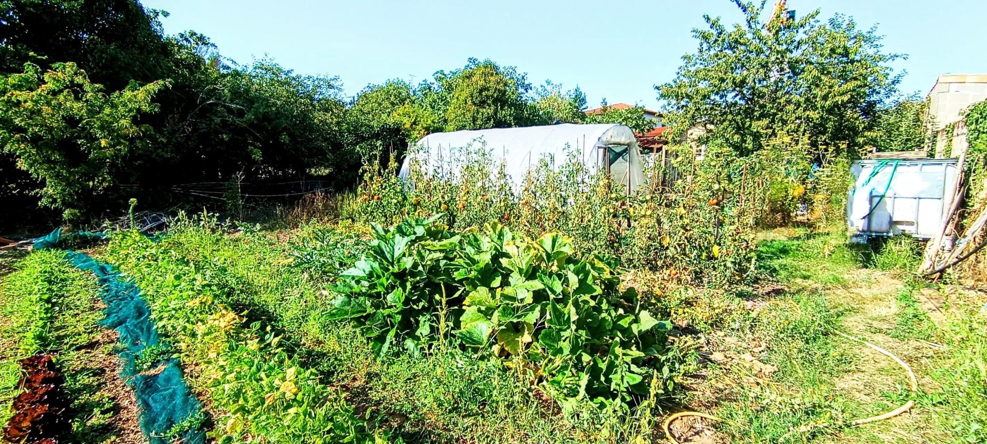 Miniature photo - 5 / 9