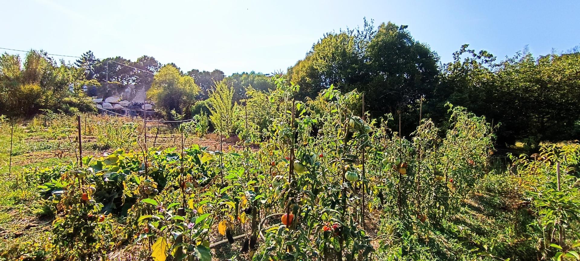 Miniature photo - 4 / 9