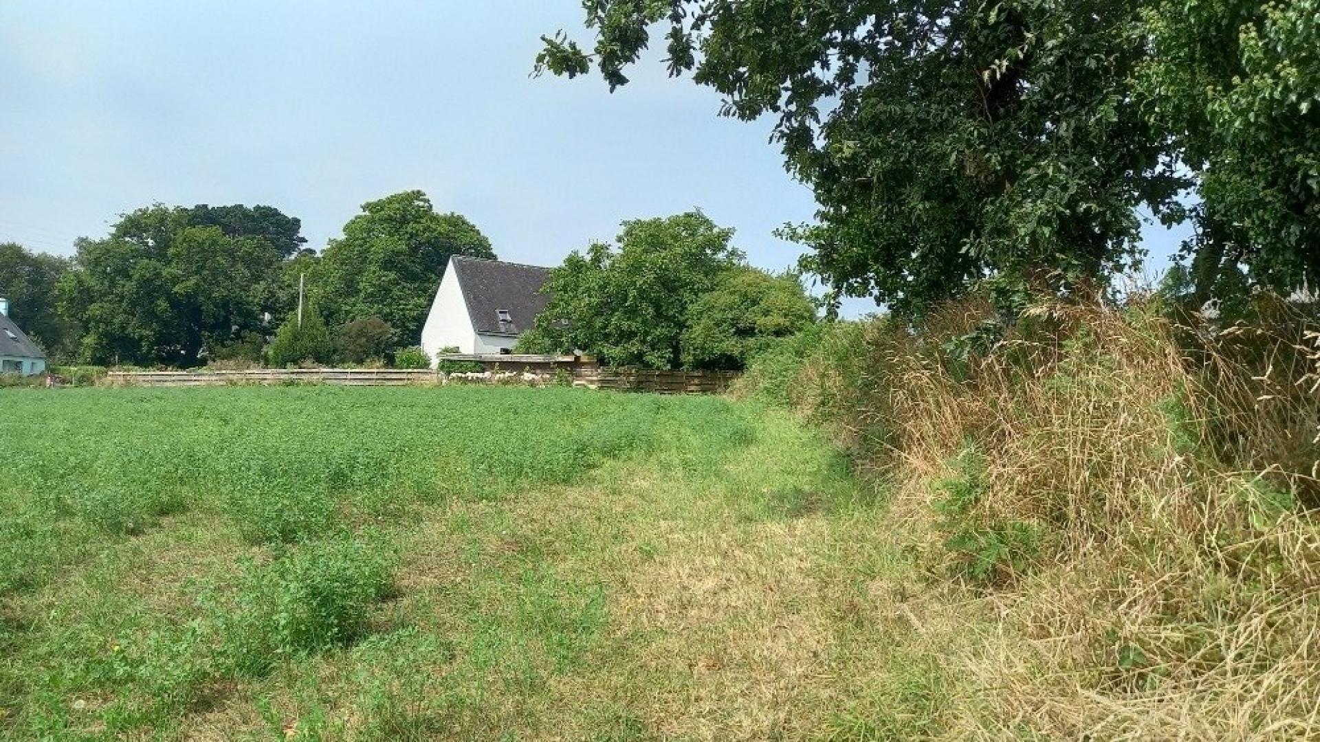 Miniature photo - 4 / 4