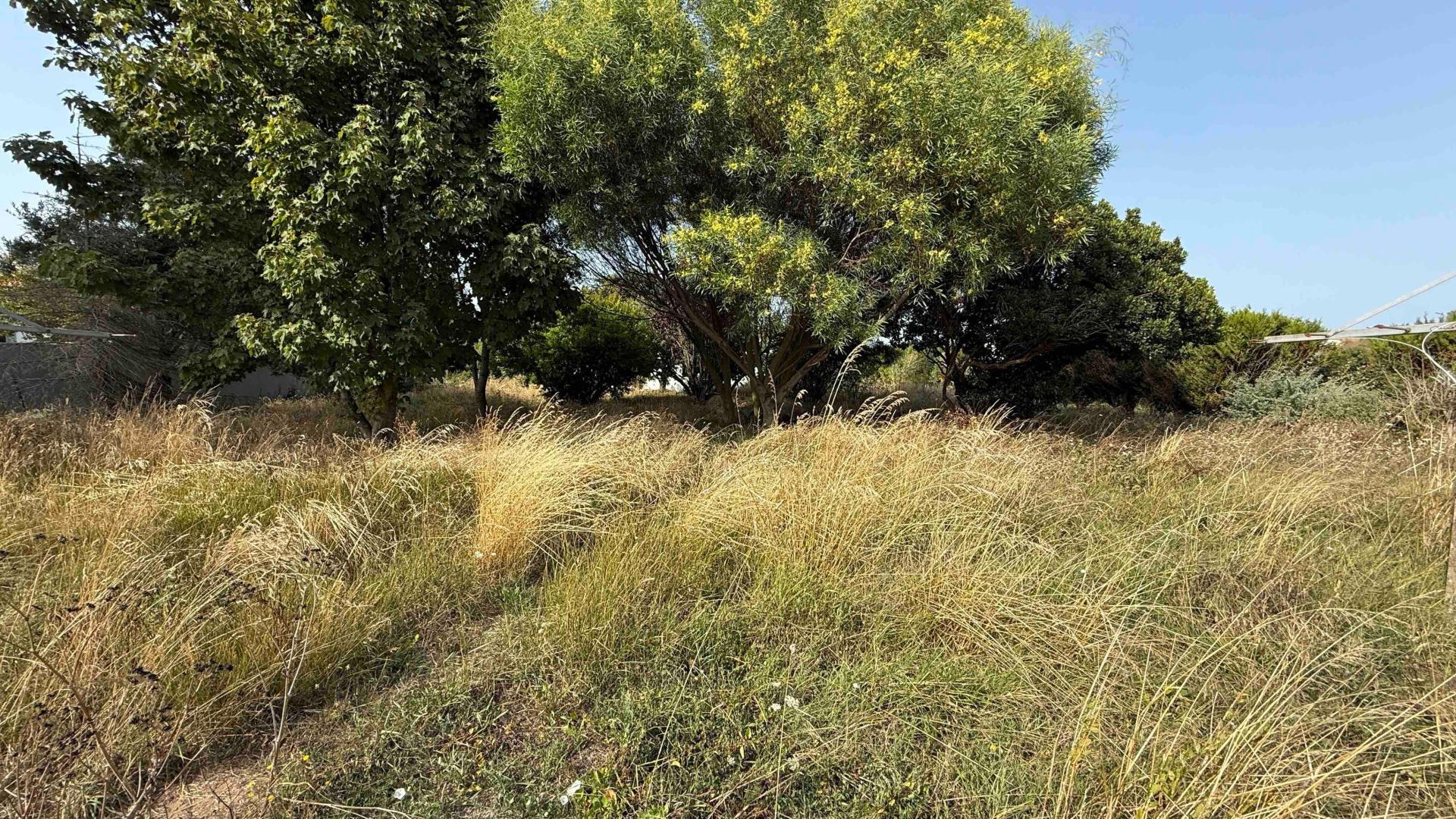 Miniature photo - 3 / 4