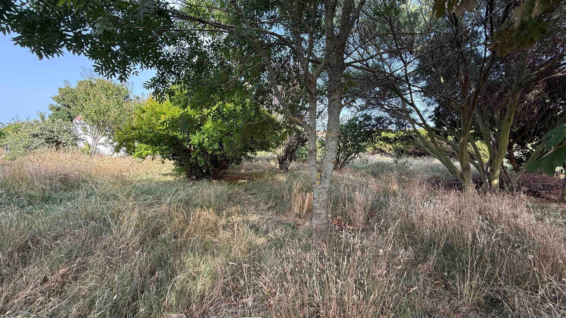 Miniature photo - 2 / 4